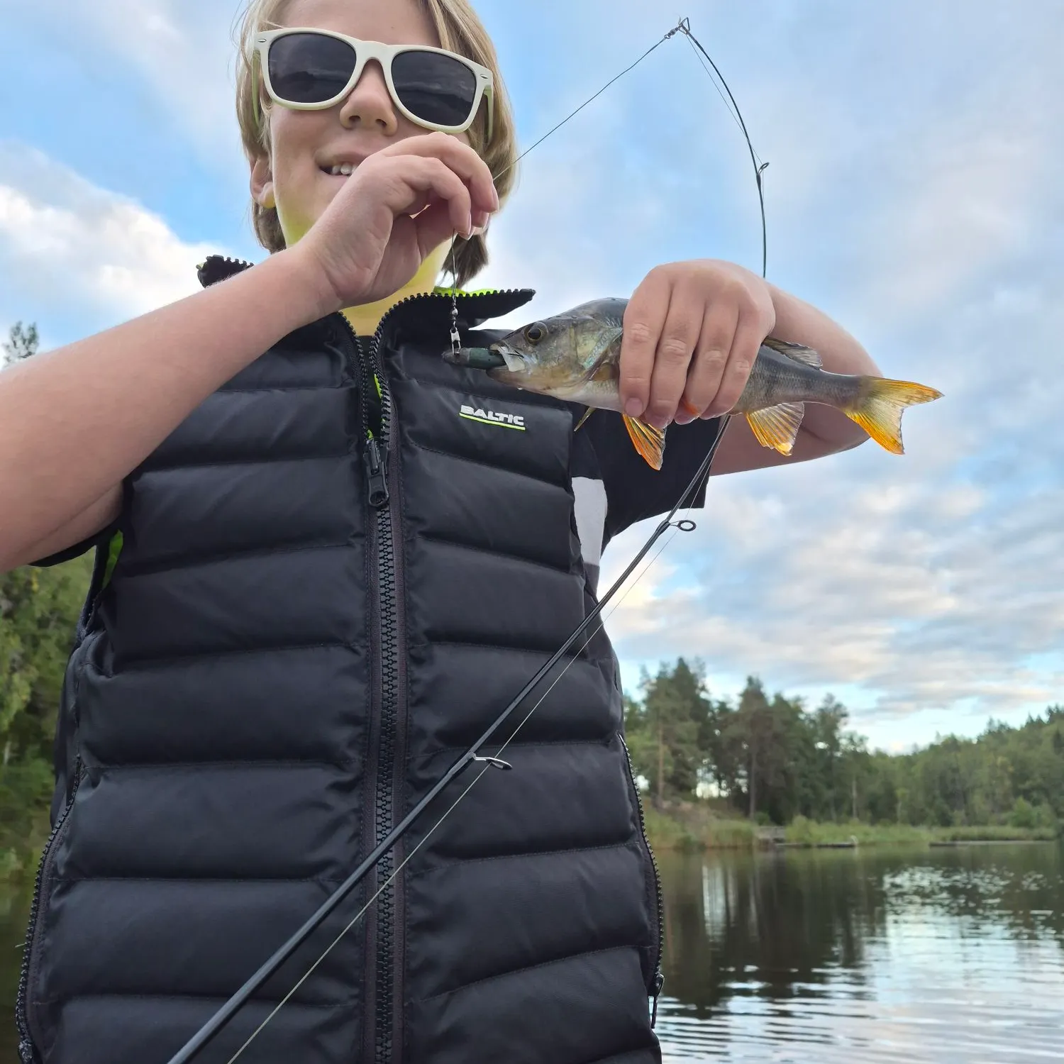 European perch caught on Fishbrain