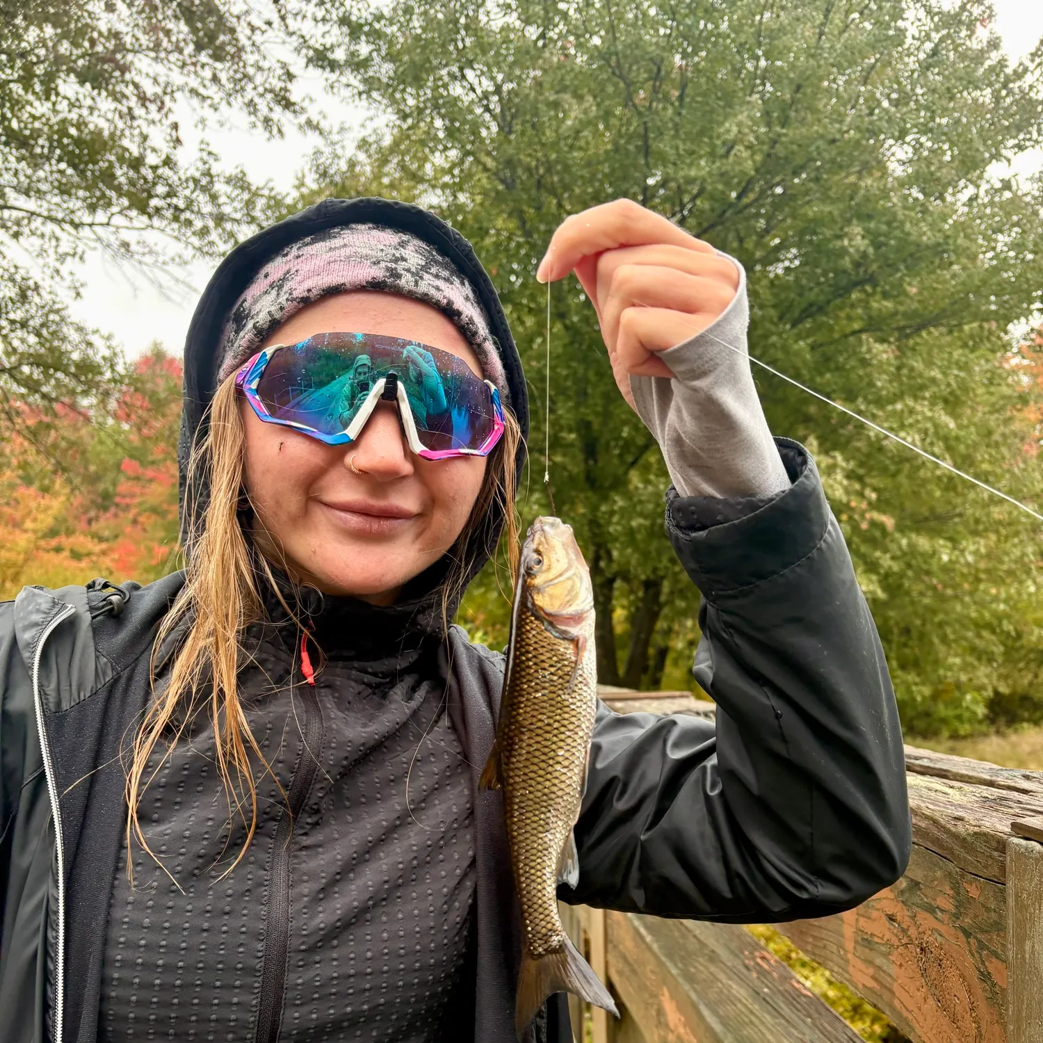 Fallfish caught on Fishbrain