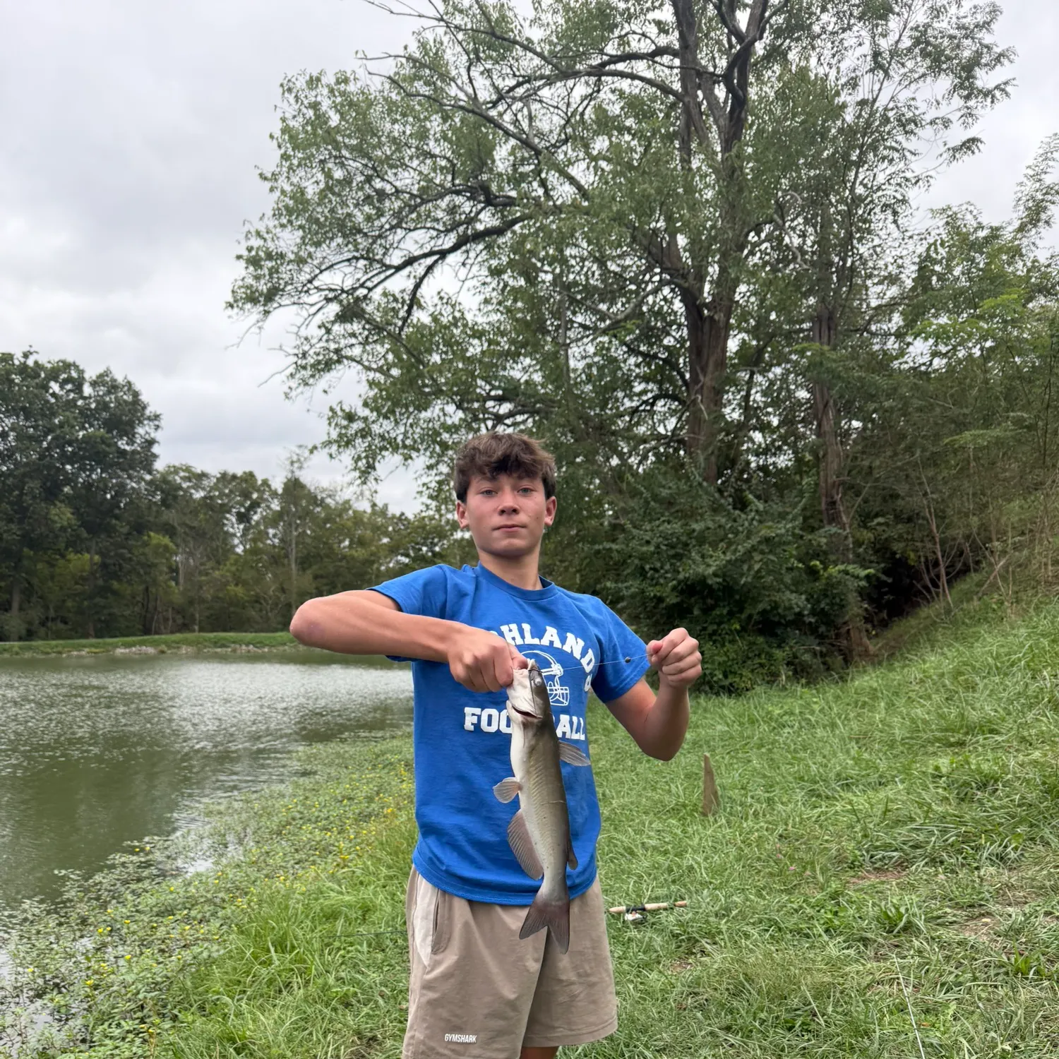 Channel catfish caught on Fishbrain