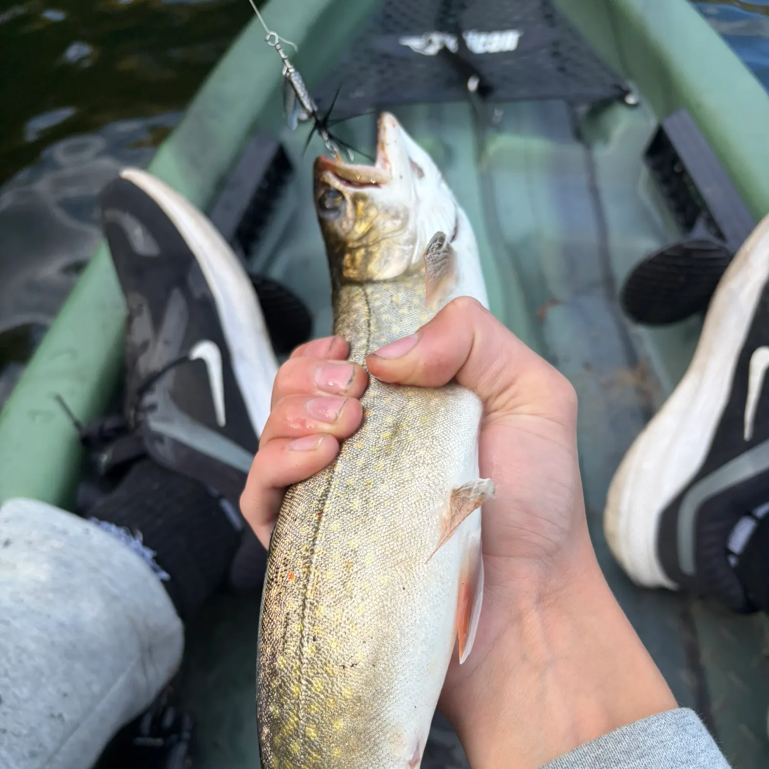 Lake char caught on Fishbrain
