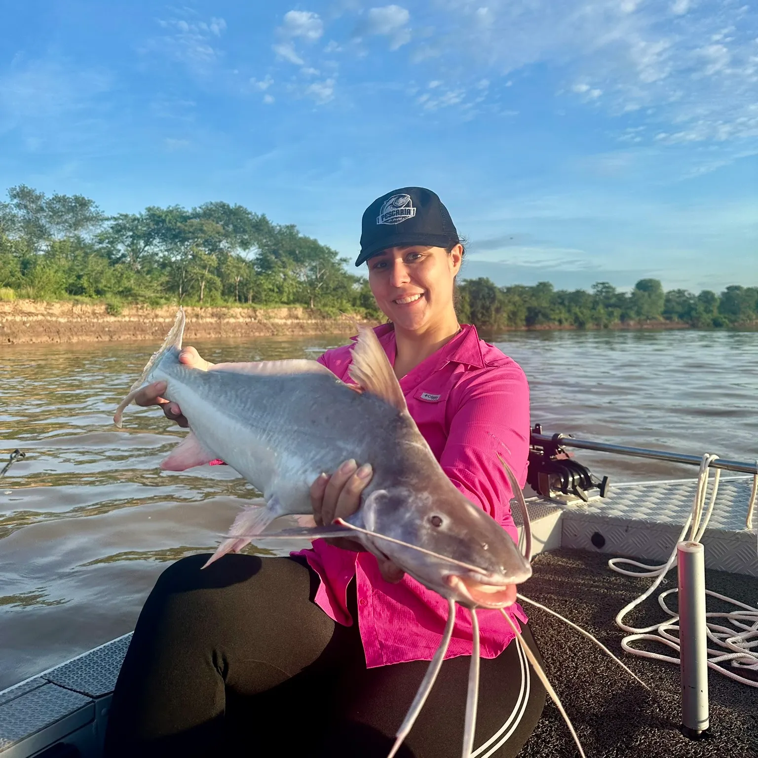 The most popular recent Flatwhiskered catfish catch on Fishbrain