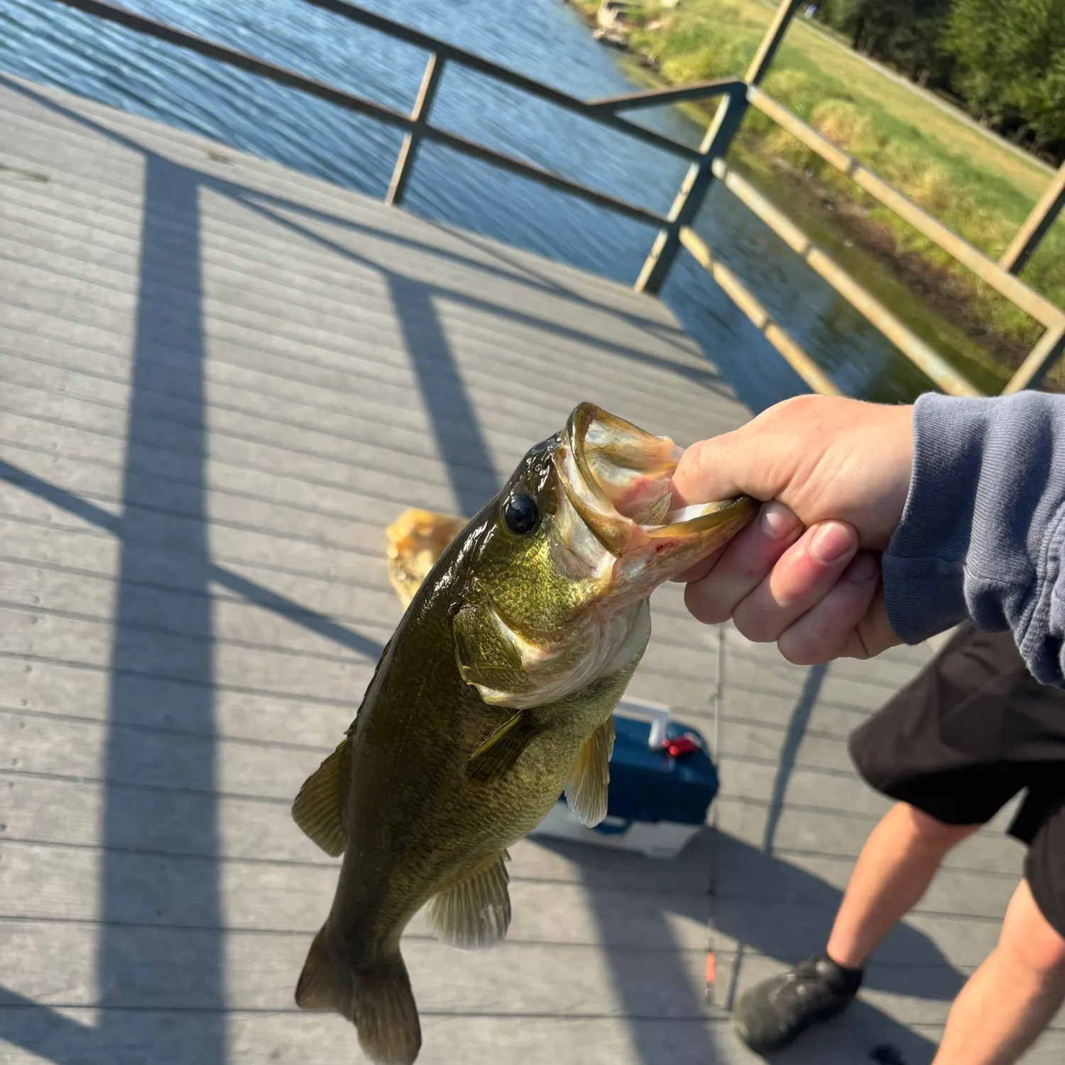 Smallmouth bass caught on Fishbrain