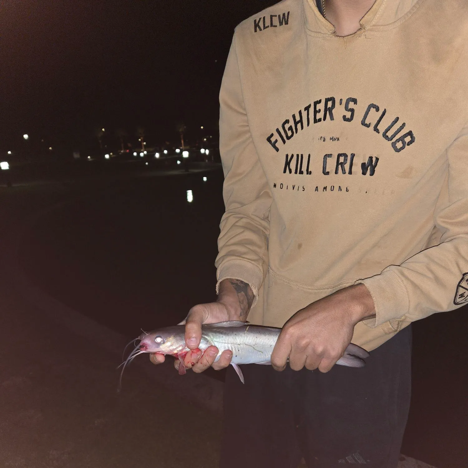 Channel catfish caught on Fishbrain