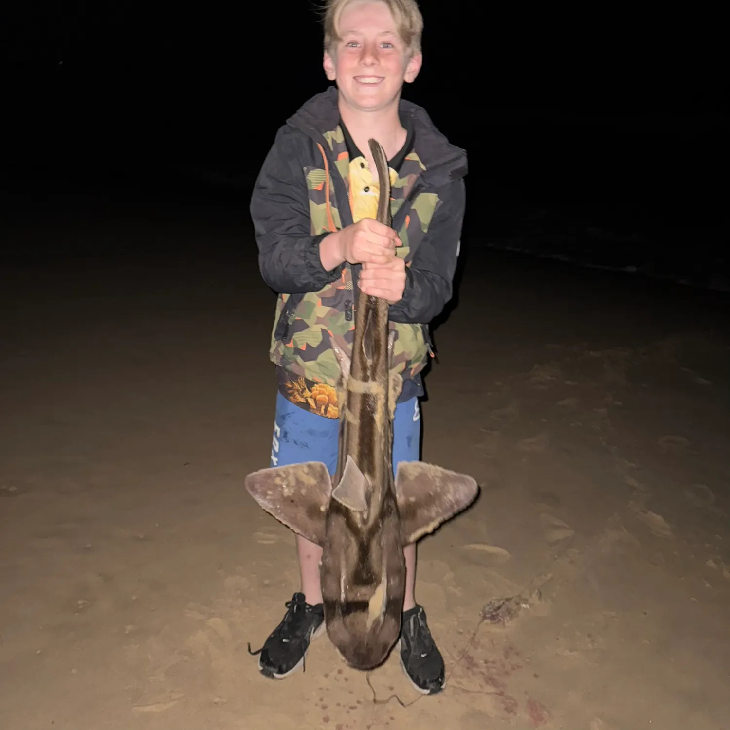 The most recent Port Jackson shark catches on Fishbrain