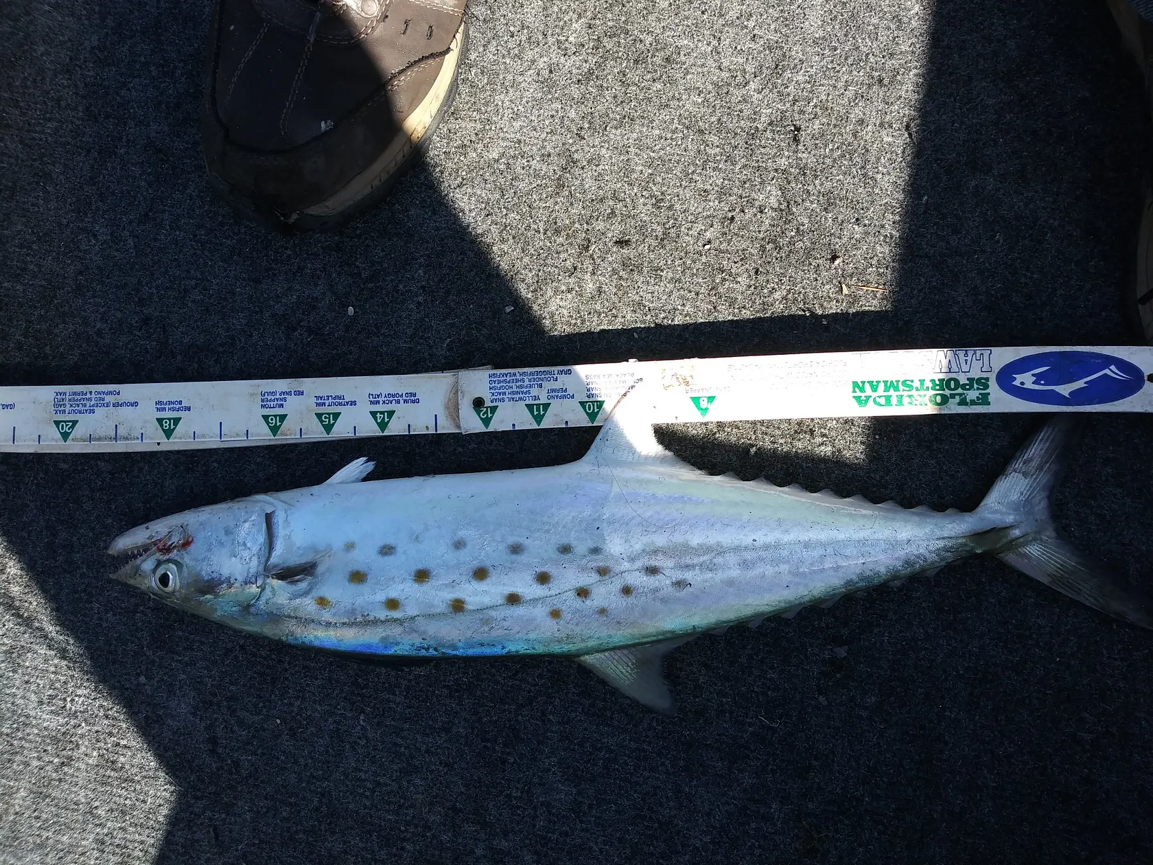 Post image from jones.rob