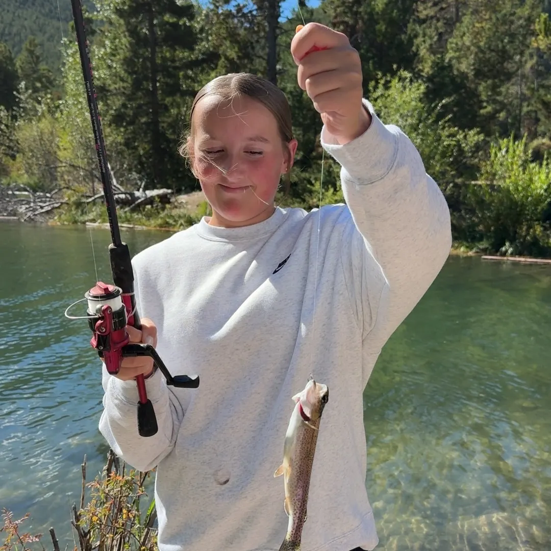 Rainbow trout caught on Fishbrain