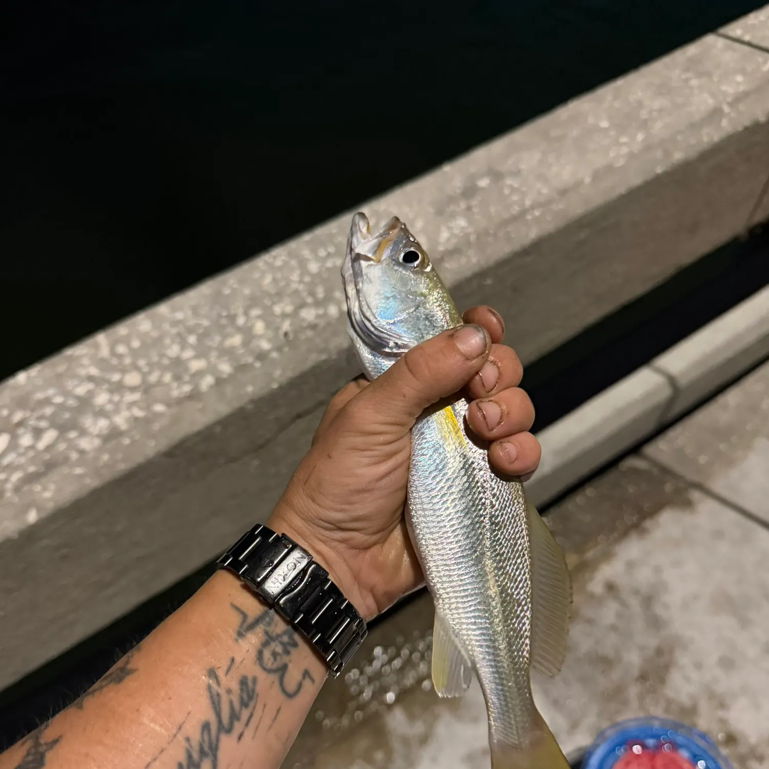 catch