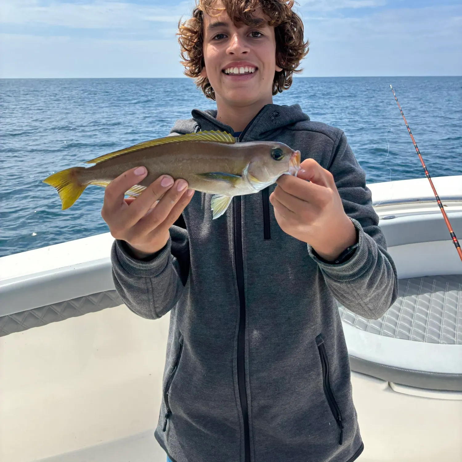 The most recent Ocean whitefish catches on Fishbrain