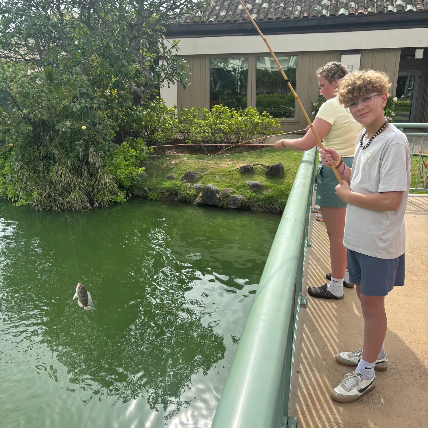 The most recent Redbreast tilapia catches on Fishbrain