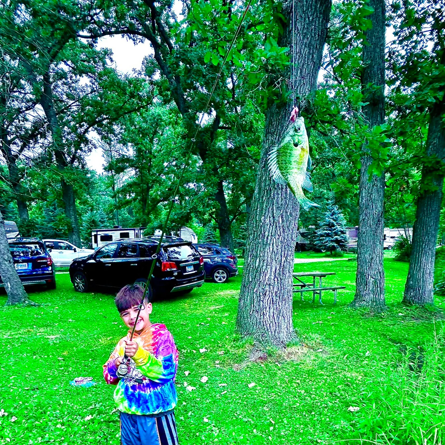 catch