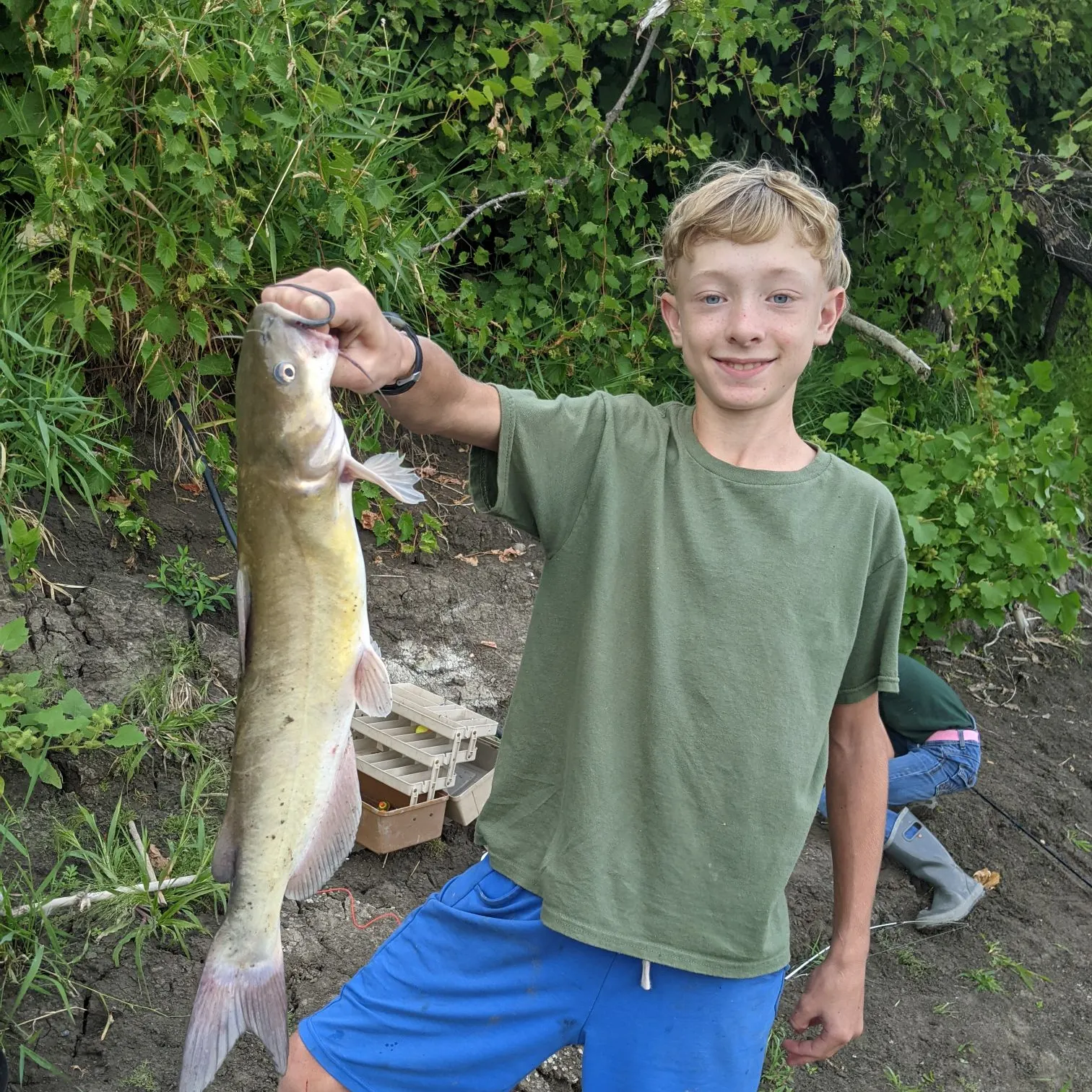 Channel catfish caught on Fishbrain