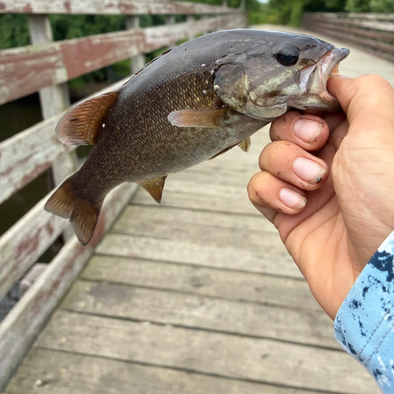 catch