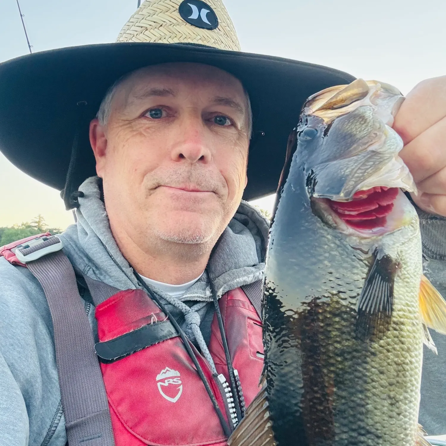 Largemouth bass caught on Fishbrain