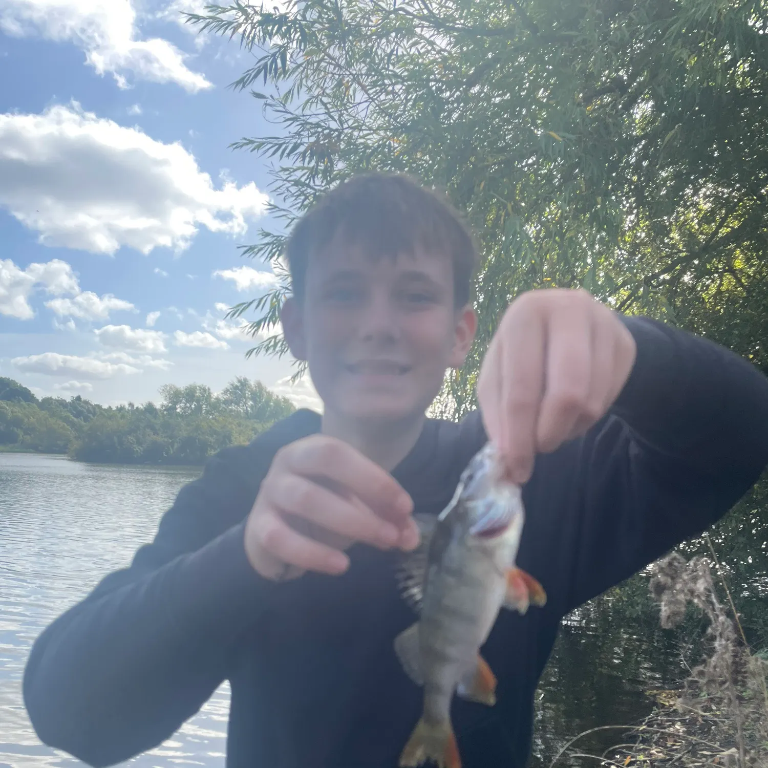 European perch caught on Fishbrain