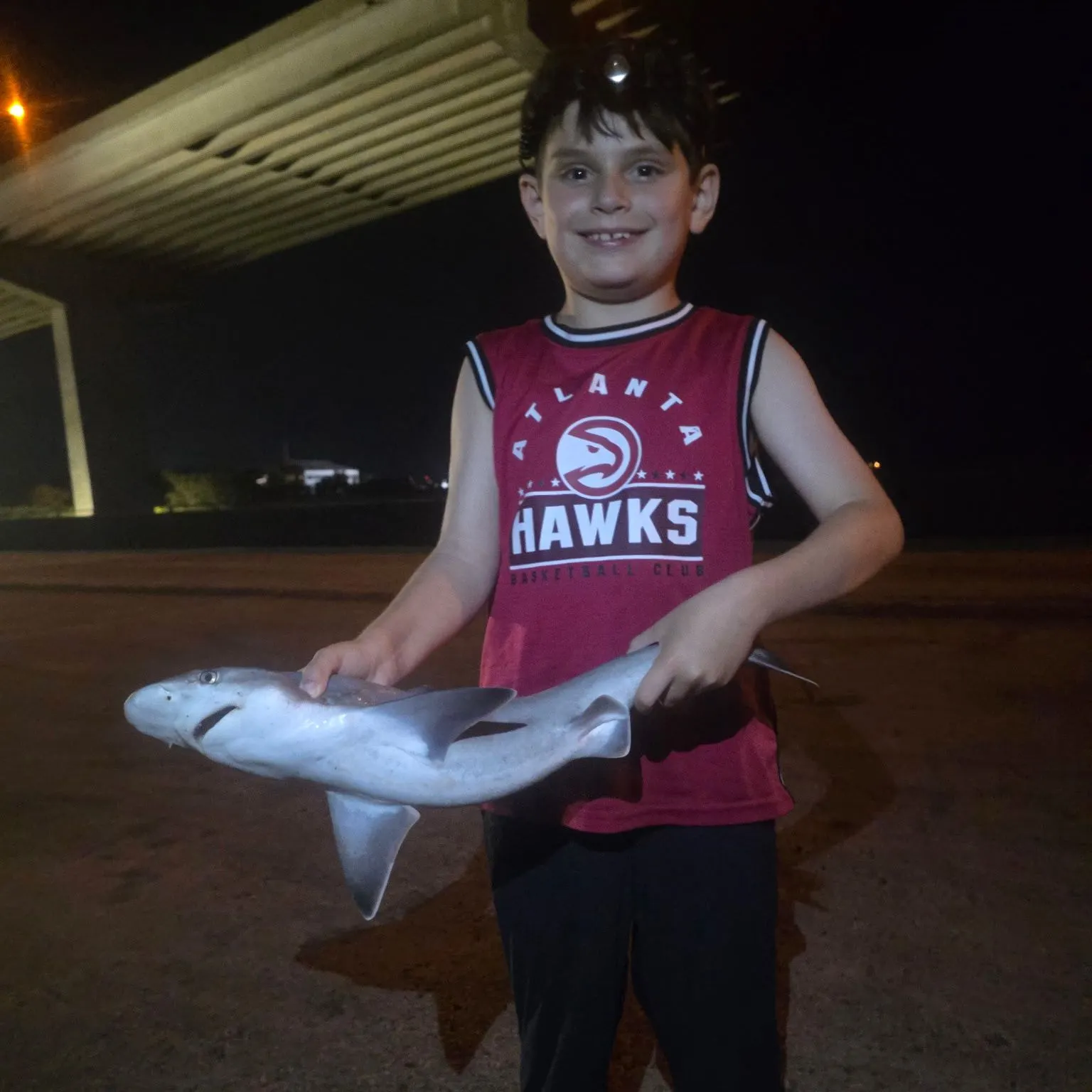 Sandbar shark caught on Fishbrain