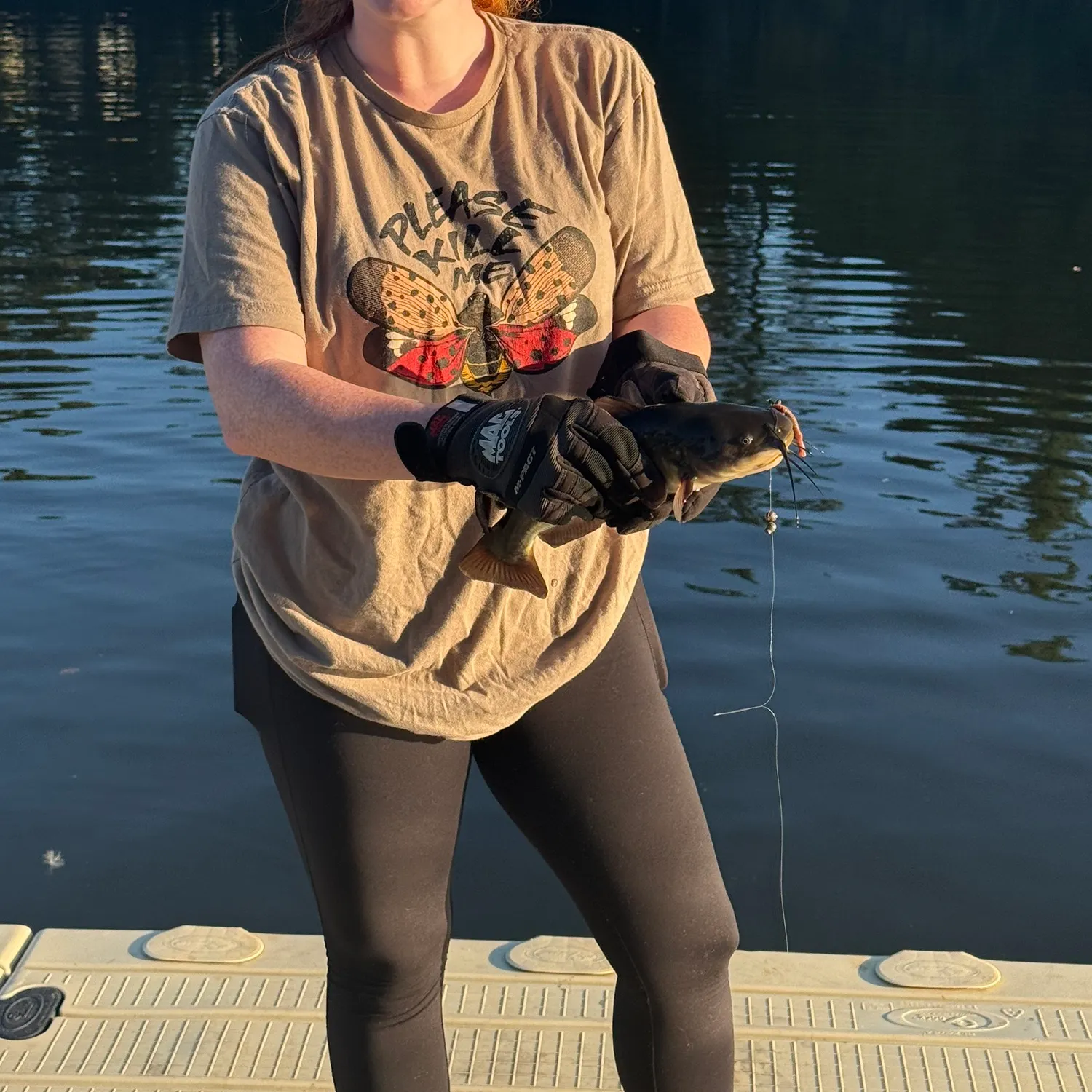 Black bullhead caught on Fishbrain