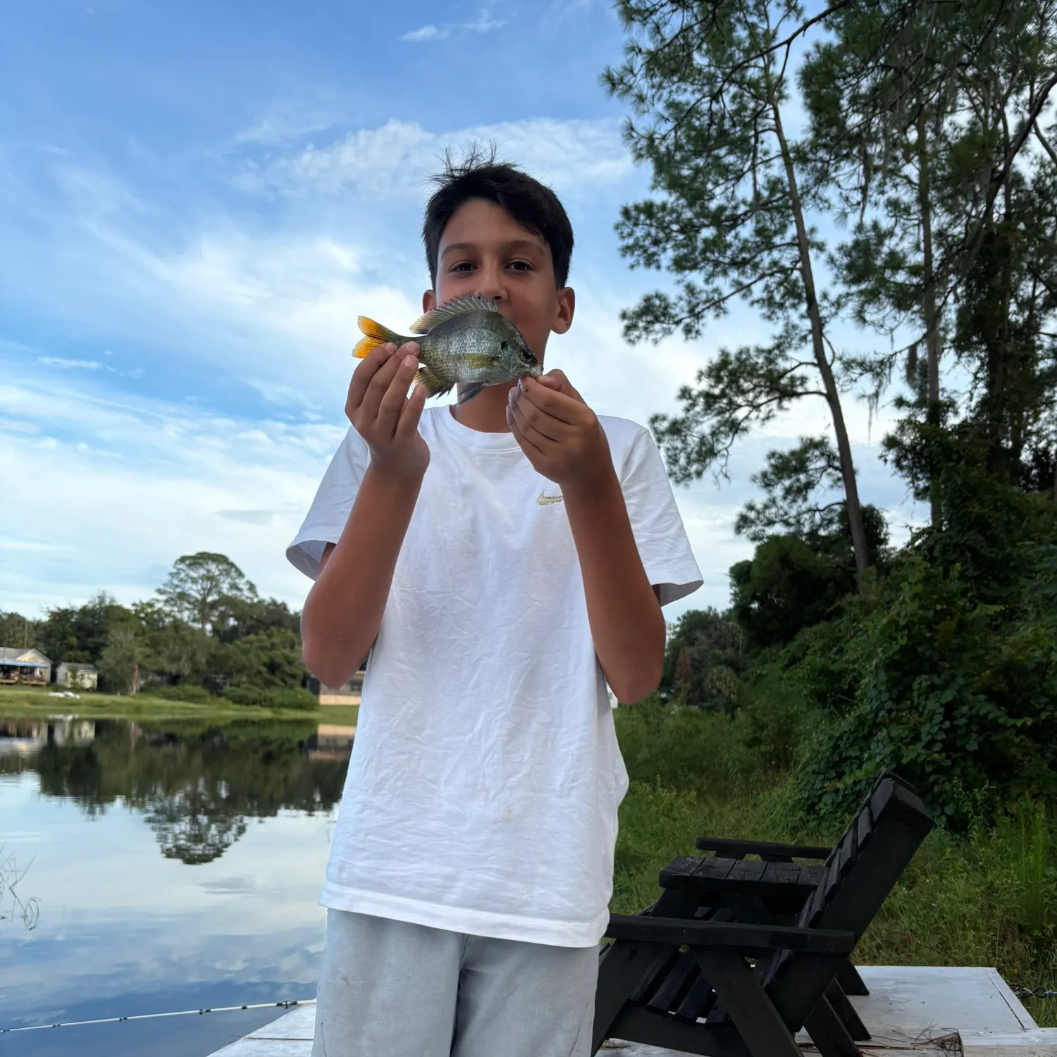 Yellow perch caught on Fishbrain