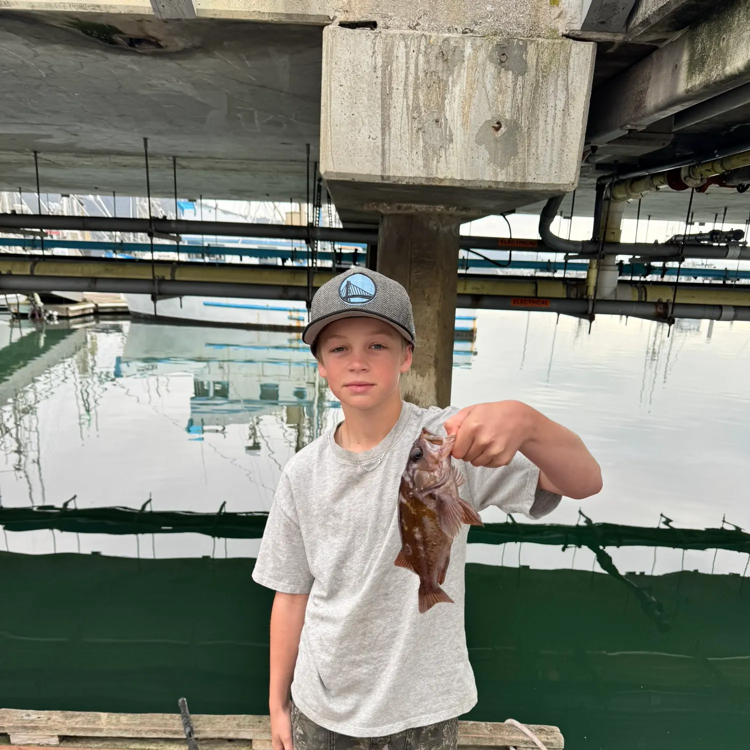 The most recent Copper rockfish catches on Fishbrain
