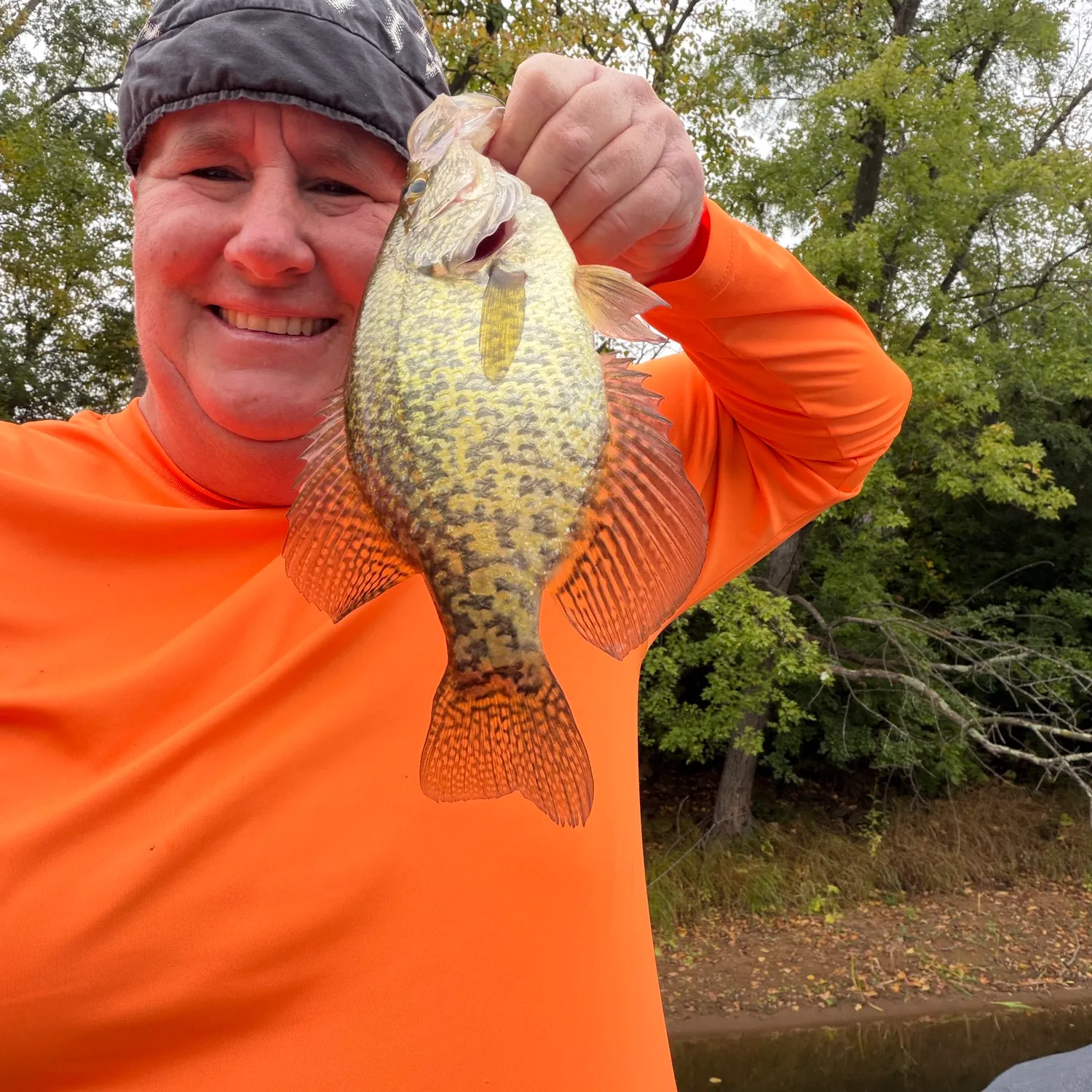 Black crappie caught on Fishbrain