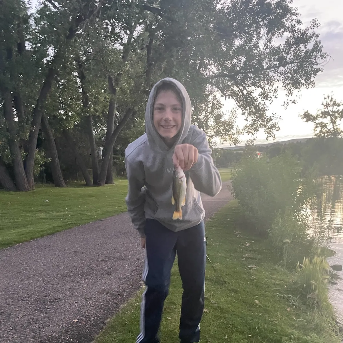 The most recent Smallmouth bass catches on Fishbrain