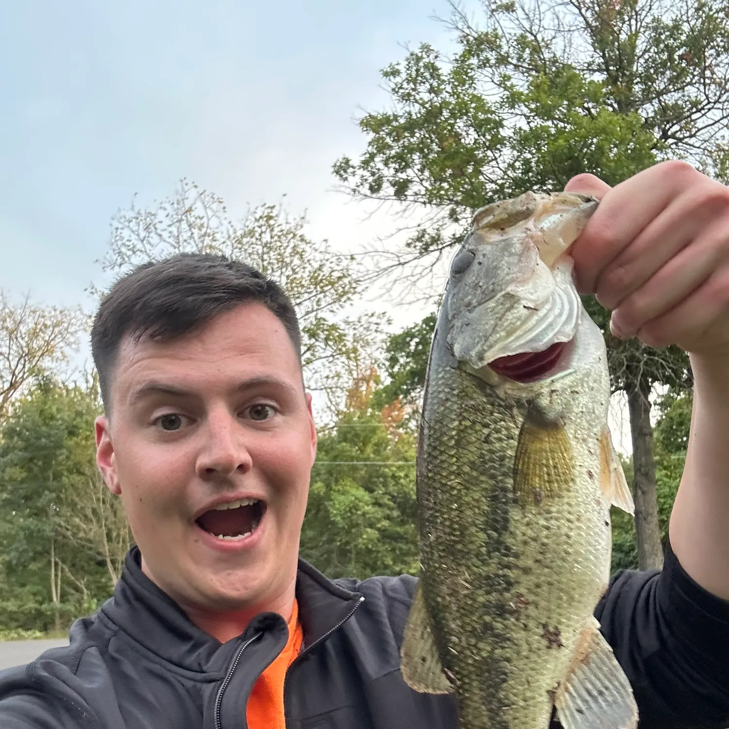 Largemouth bass caught on Fishbrain