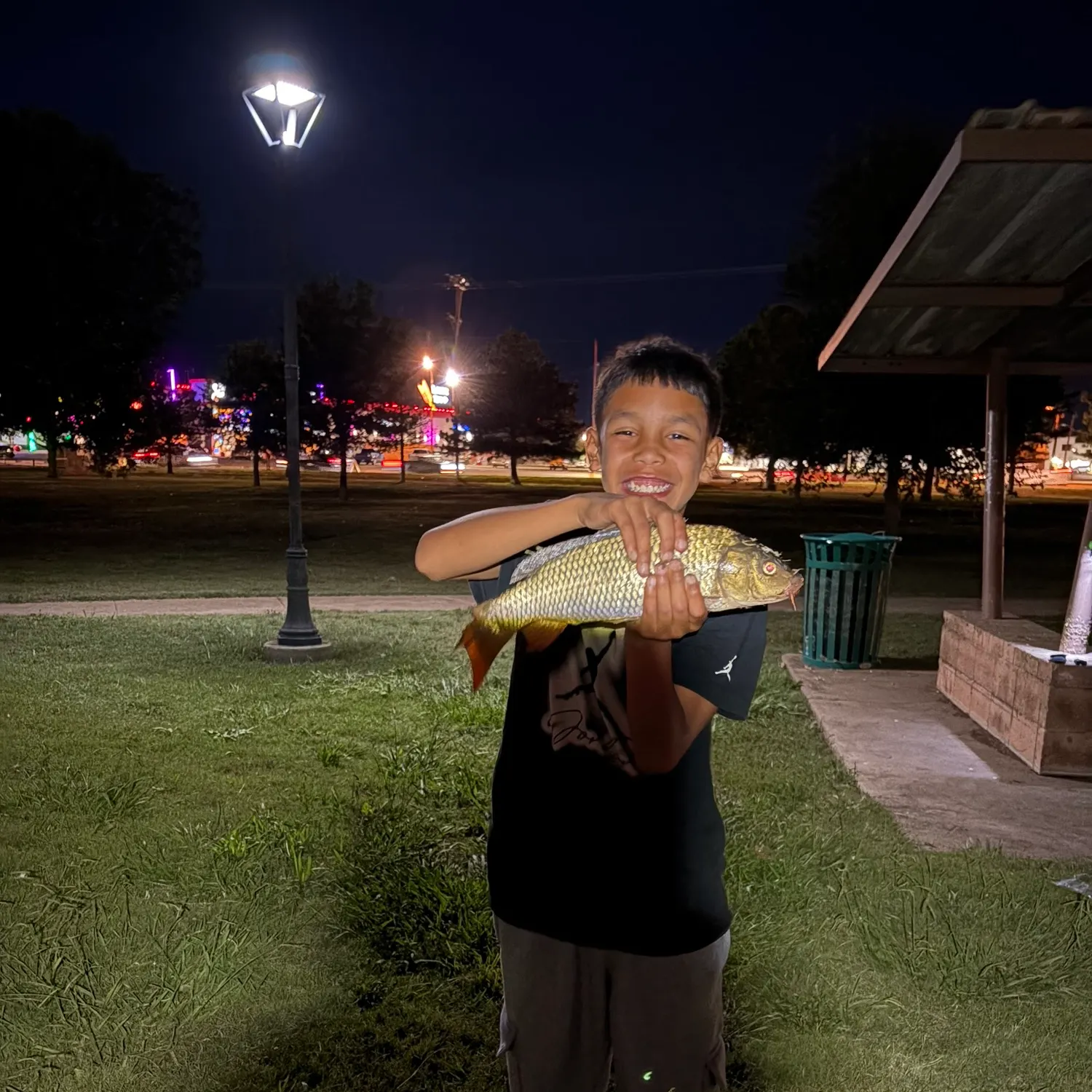Common carp caught on Fishbrain