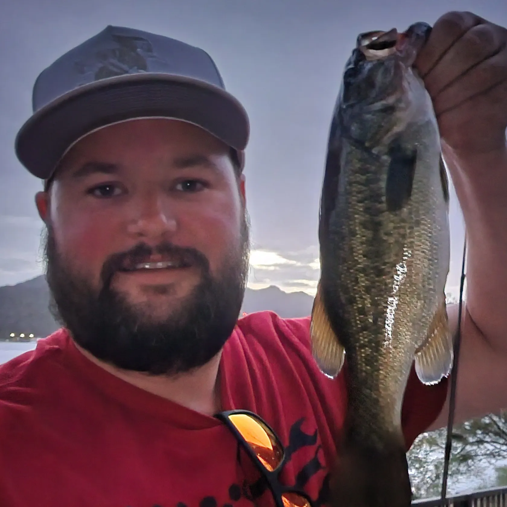 Largemouth bass caught on Fishbrain