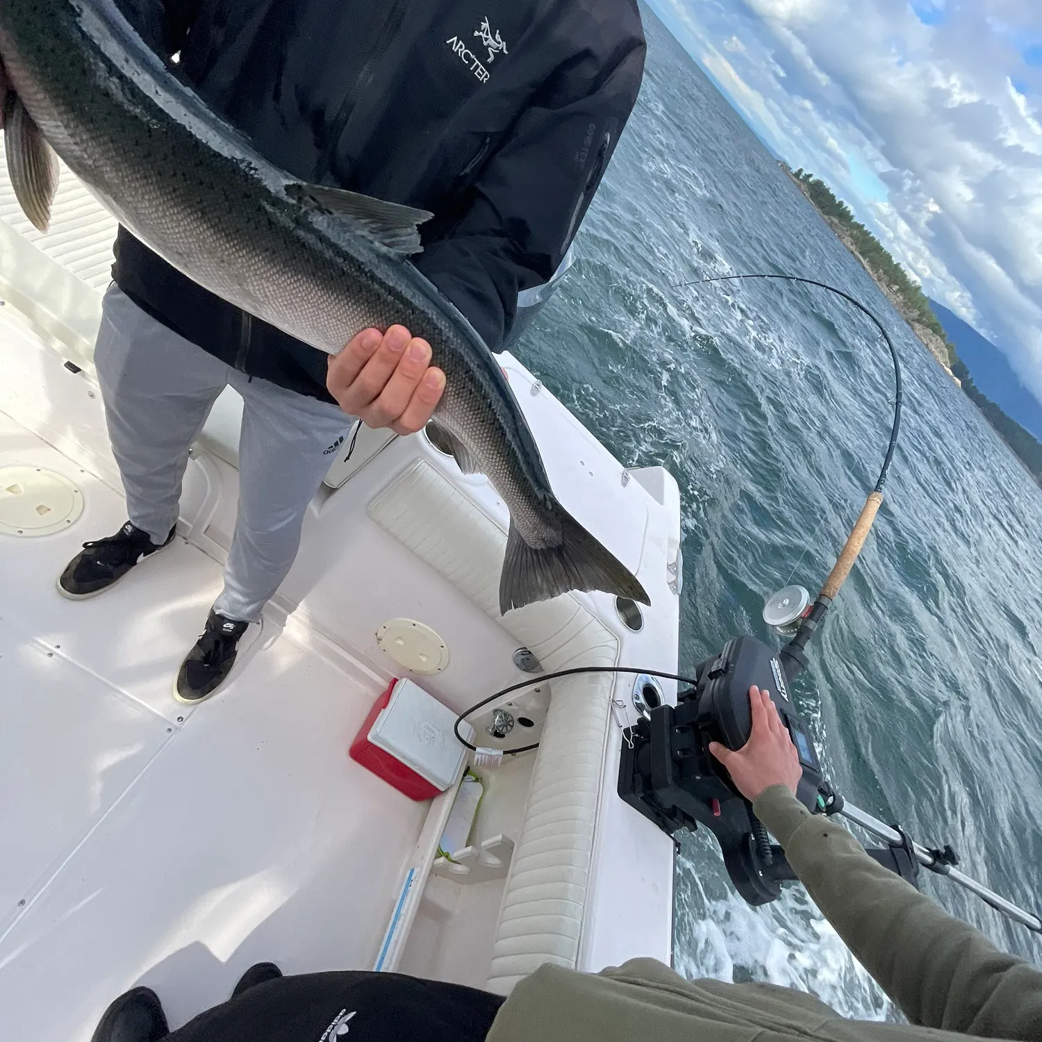 catch