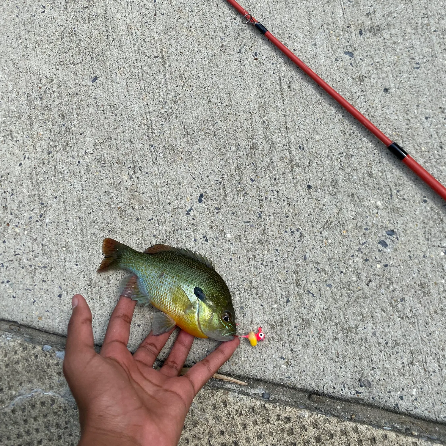 catch