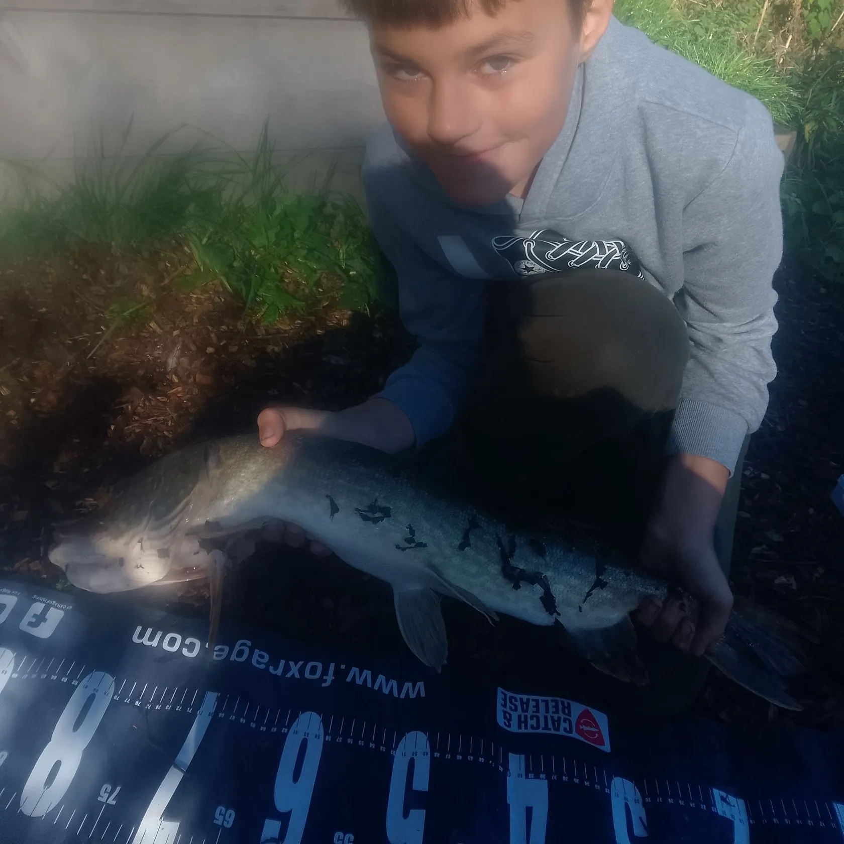 Northern pike caught on Fishbrain