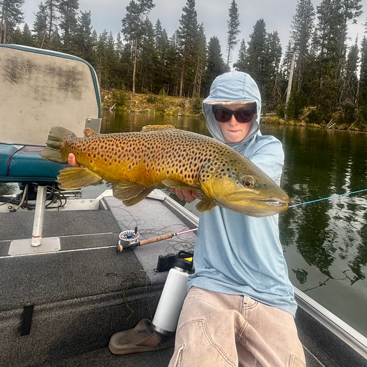 Brown trout caught on Fishbrain