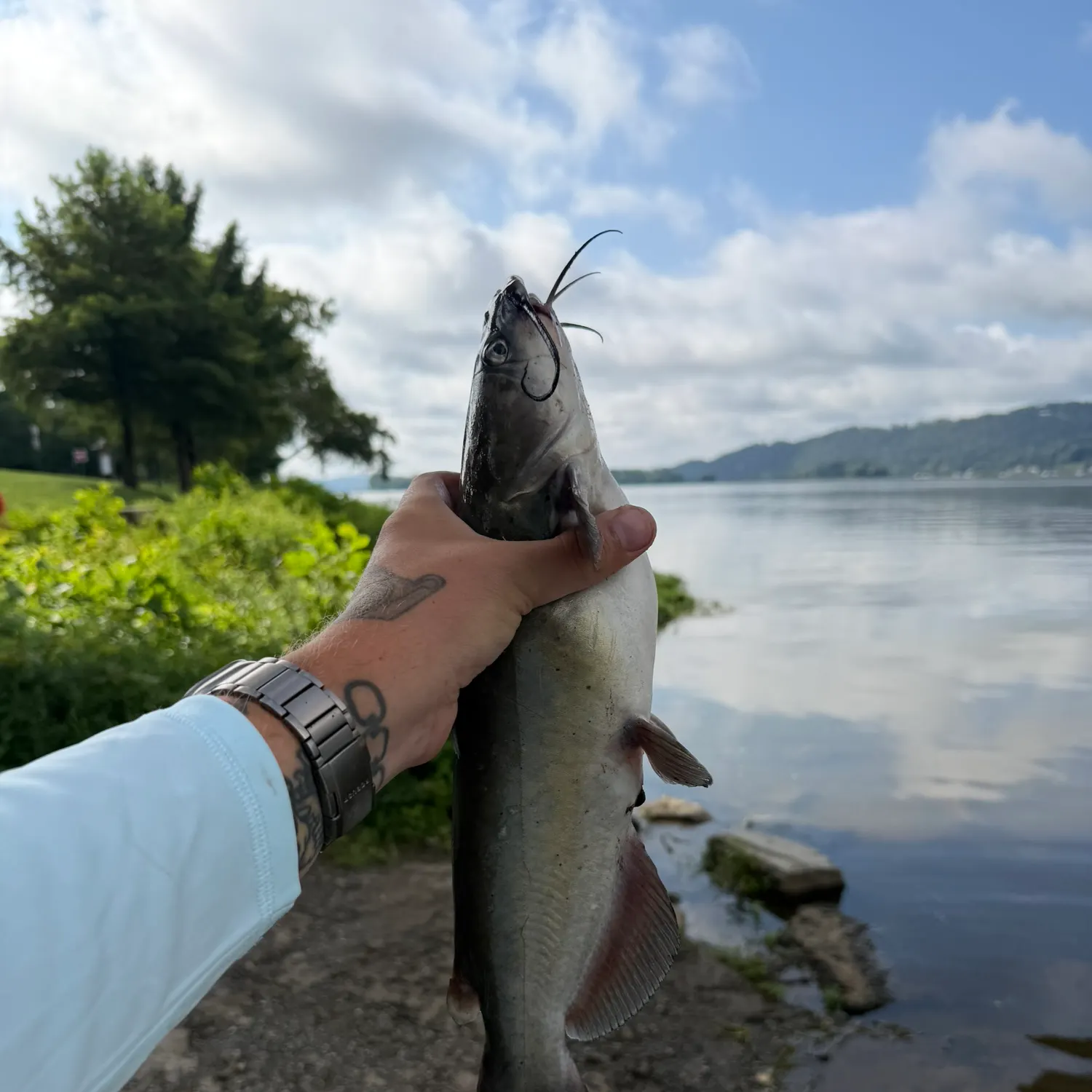 catch