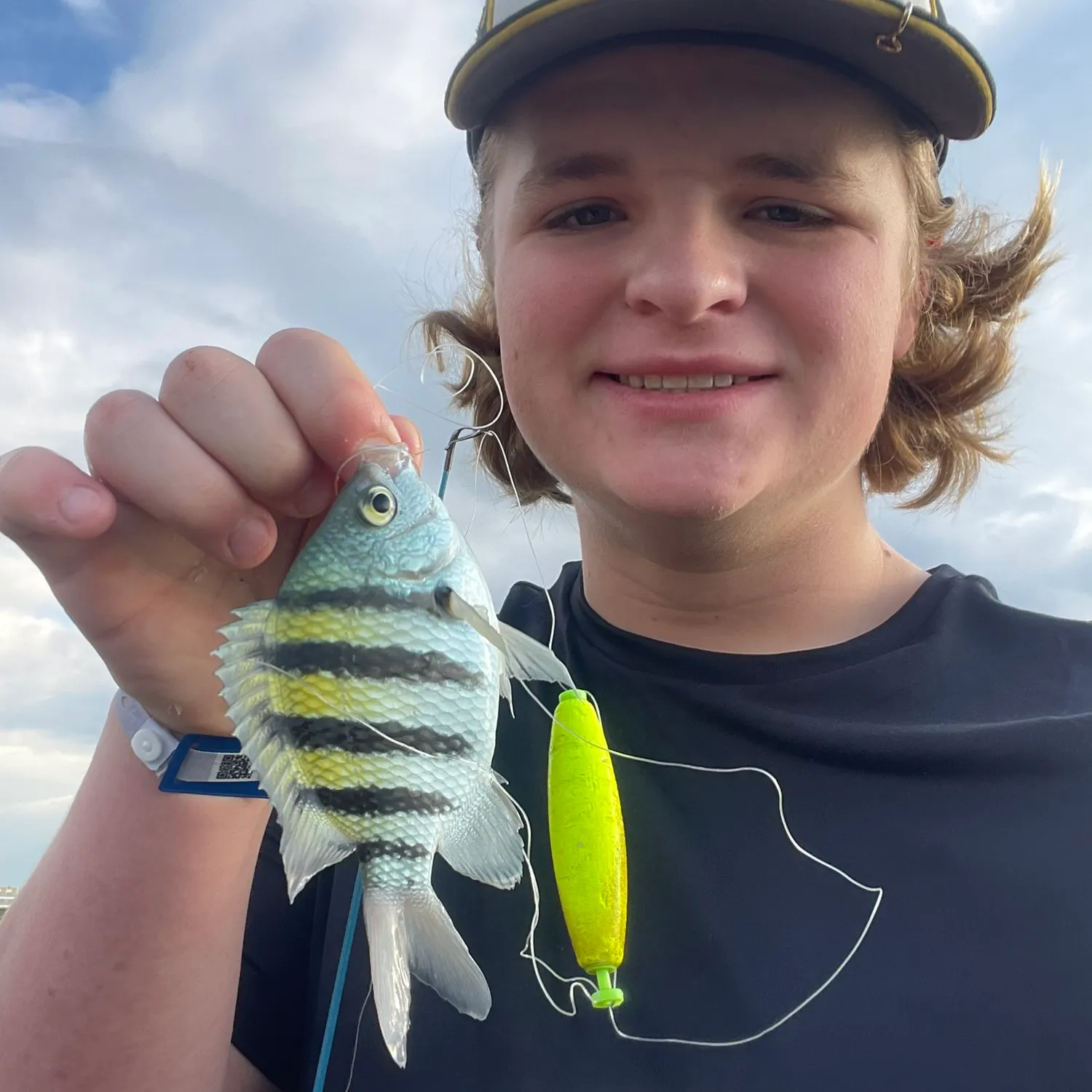 The most recent Sergeant-major catches on Fishbrain