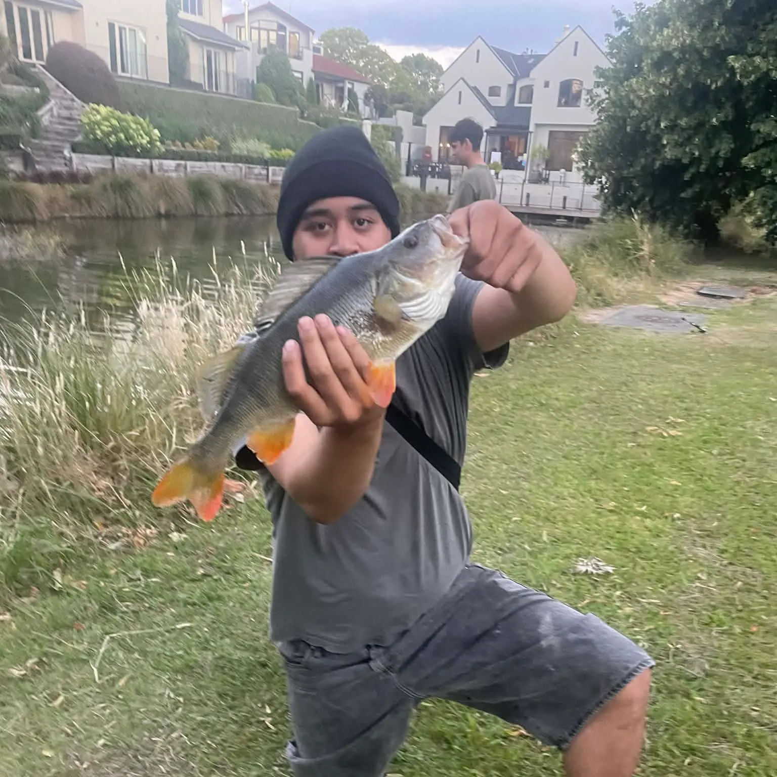 The most recent European perch catches on Fishbrain
