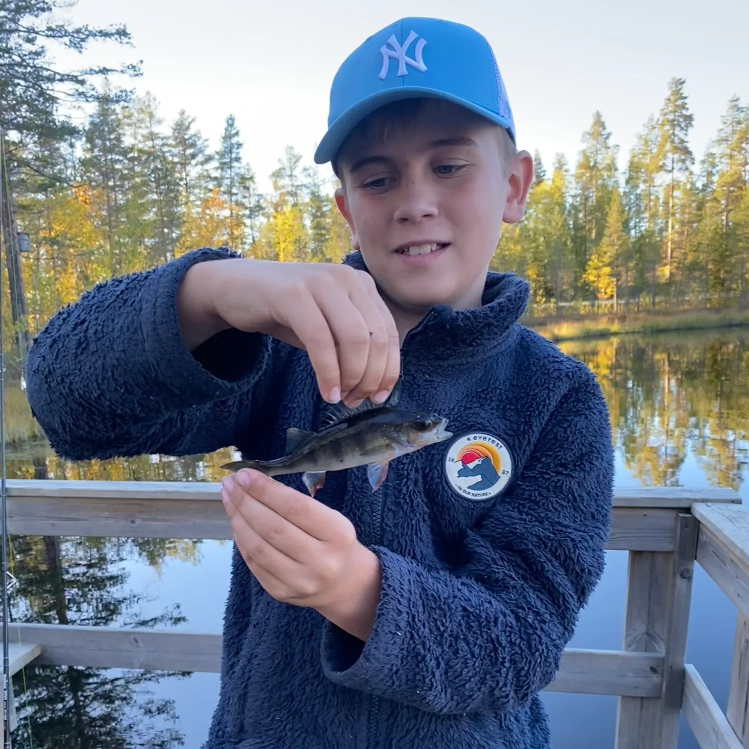European perch caught on Fishbrain