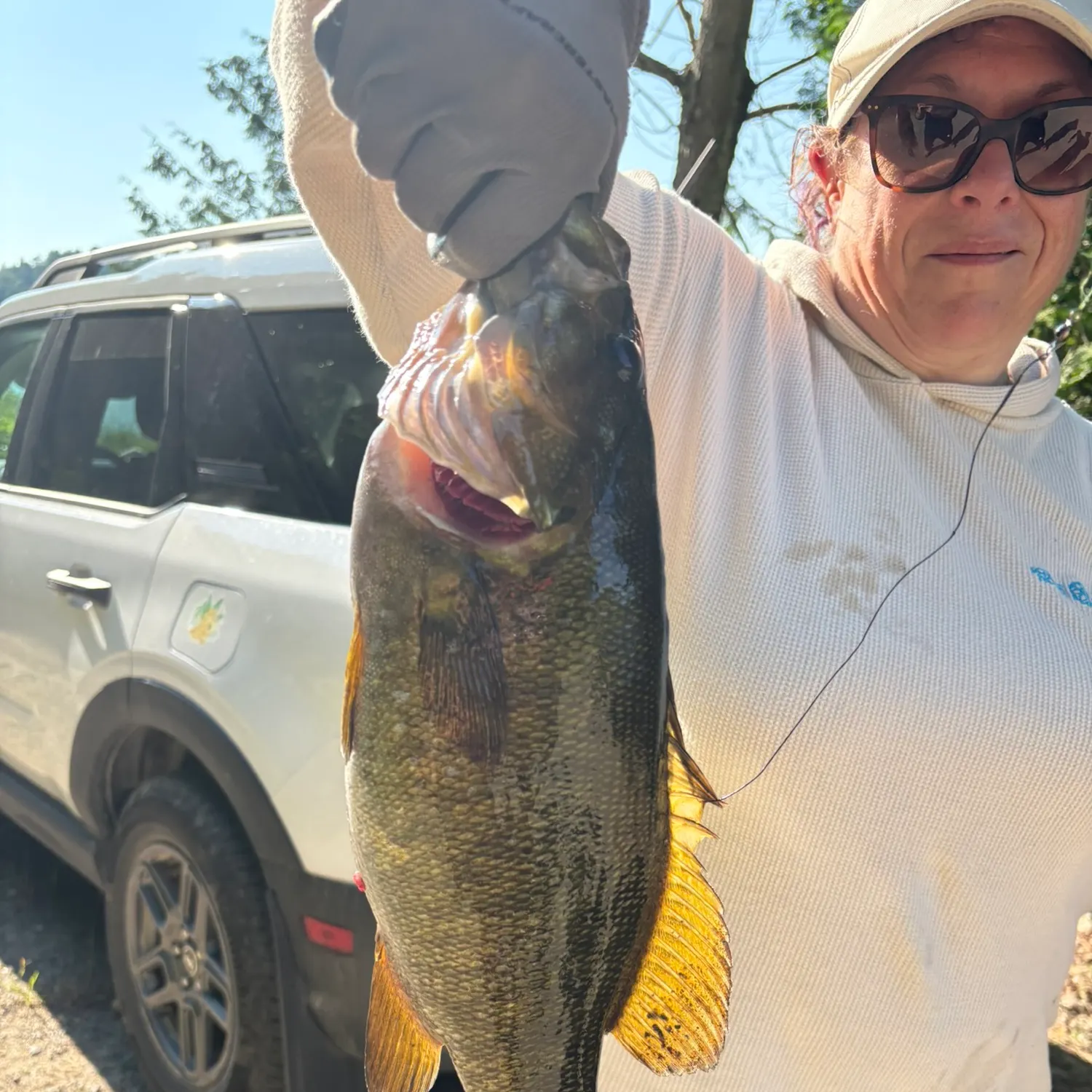 Smallmouth bass caught on Fishbrain