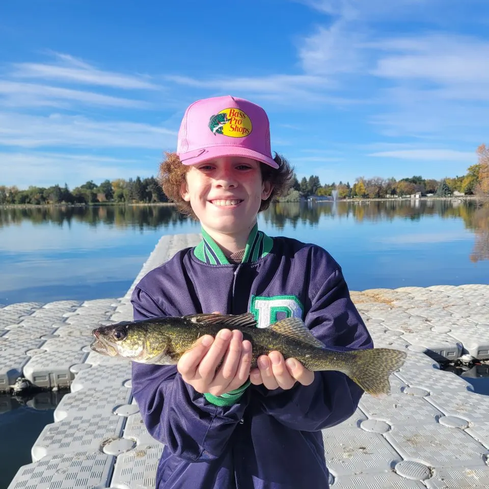 Walleye caught on Fishbrain