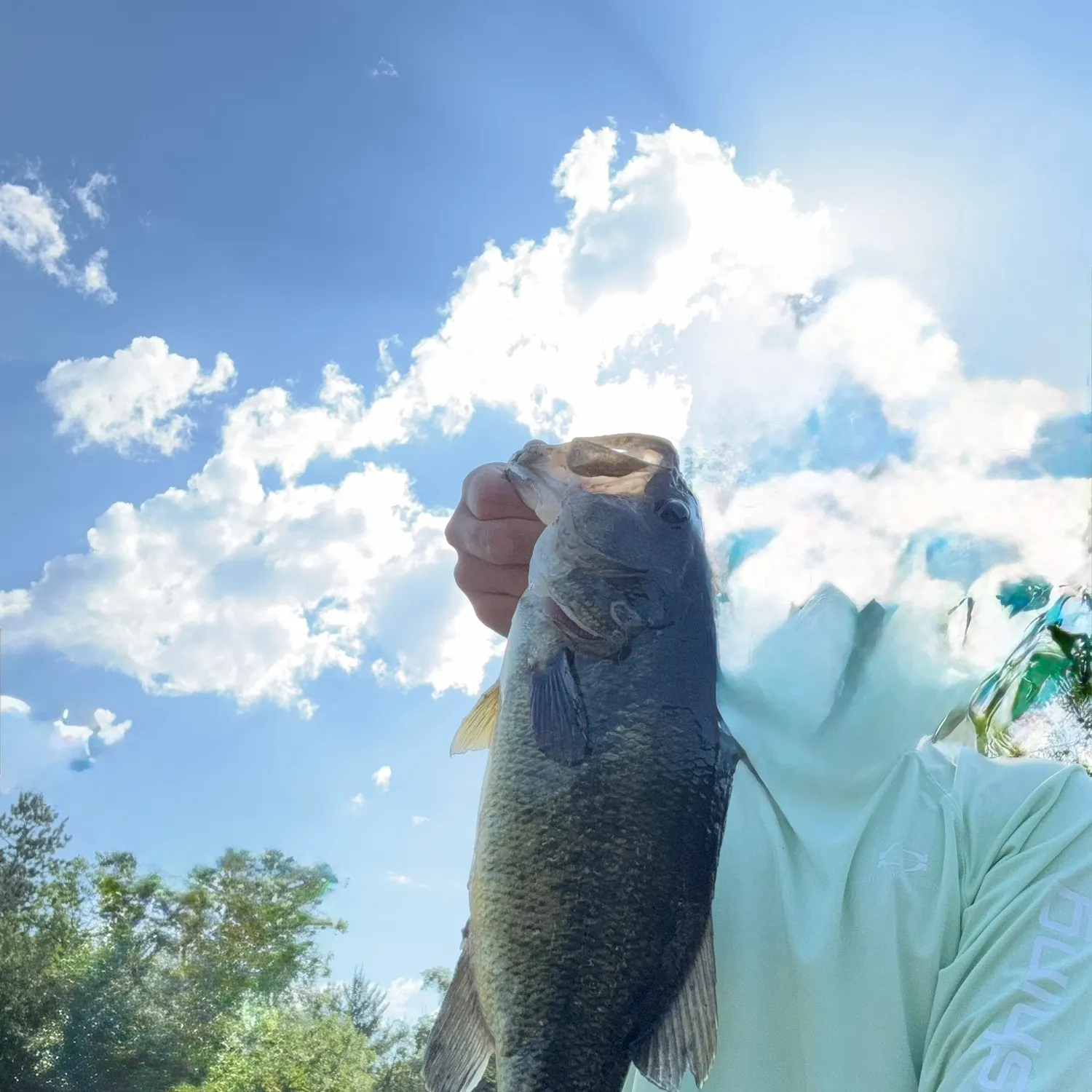 Northern pike caught on Fishbrain