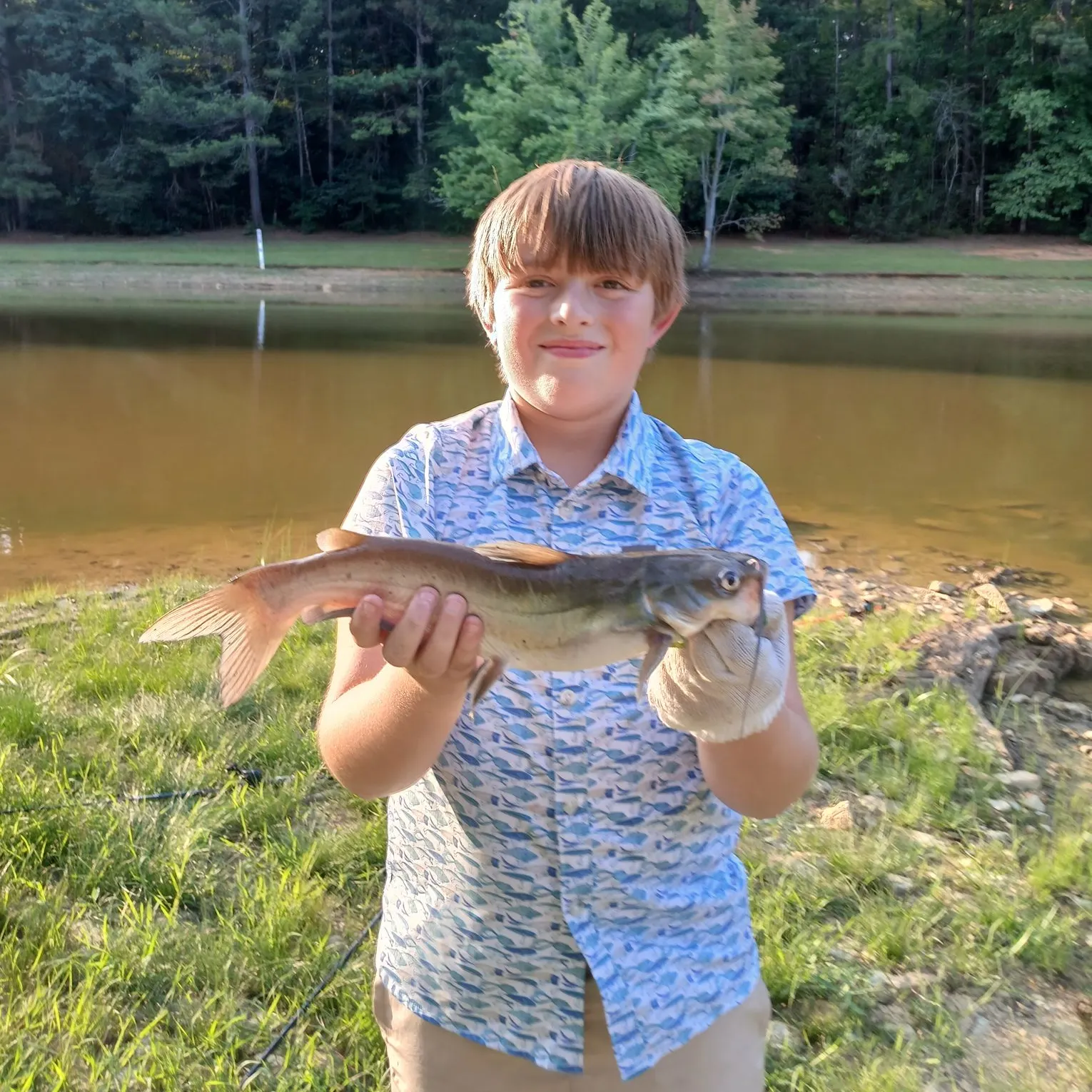 The most recent Channel catfish catches on Fishbrain