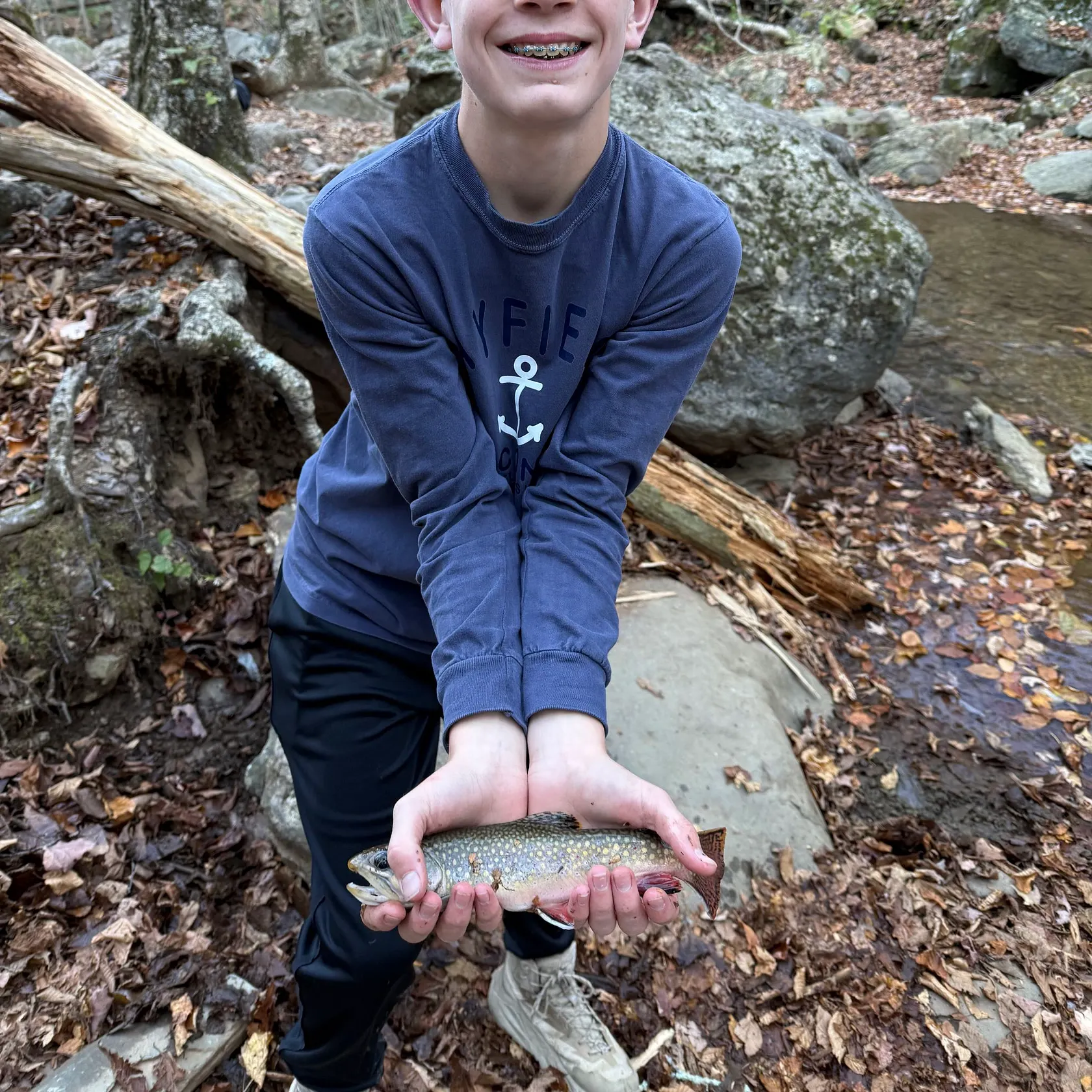 Brook trout caught on Fishbrain
