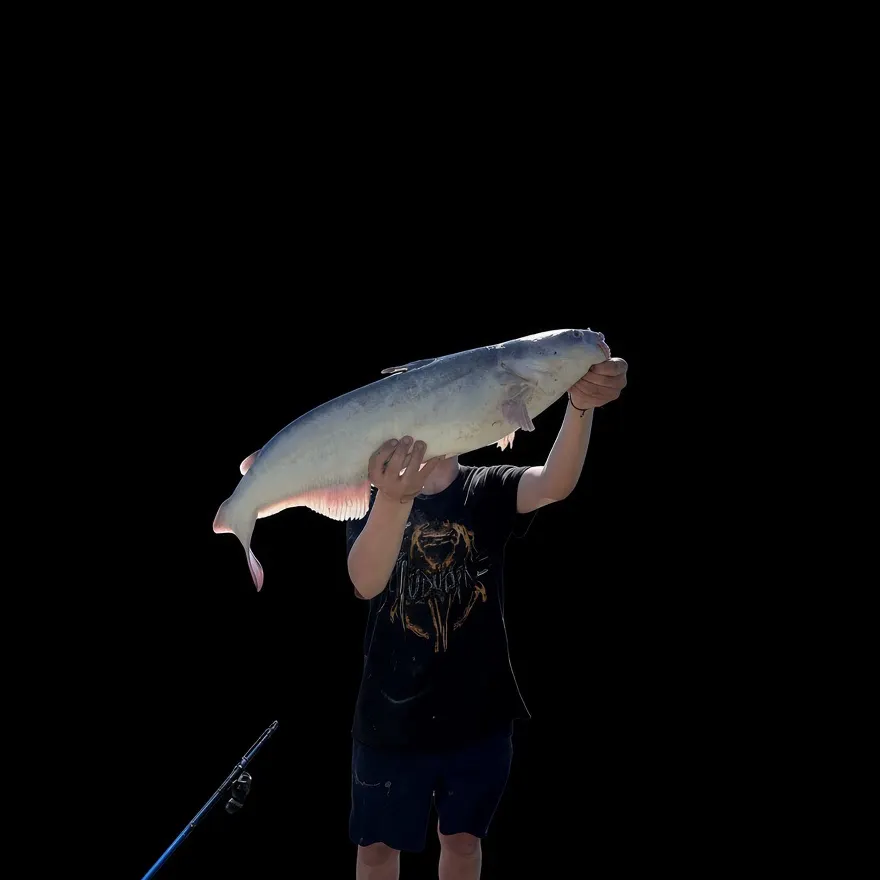 Blue catfish caught on Fishbrain