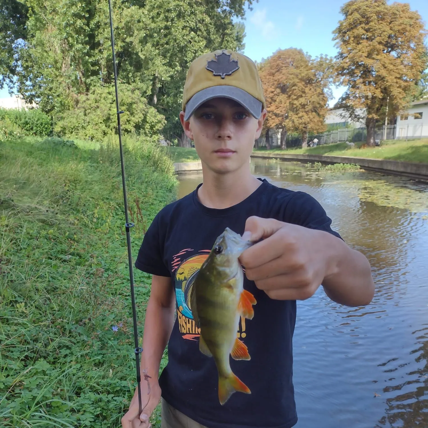 European perch caught on Fishbrain