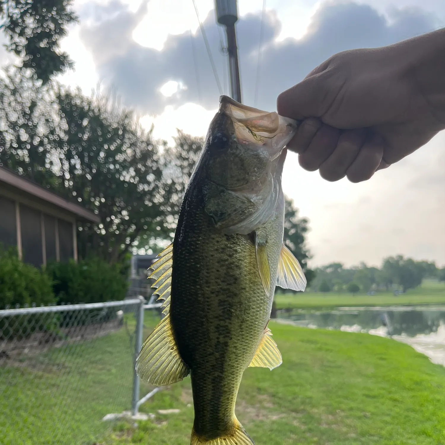 angler catch