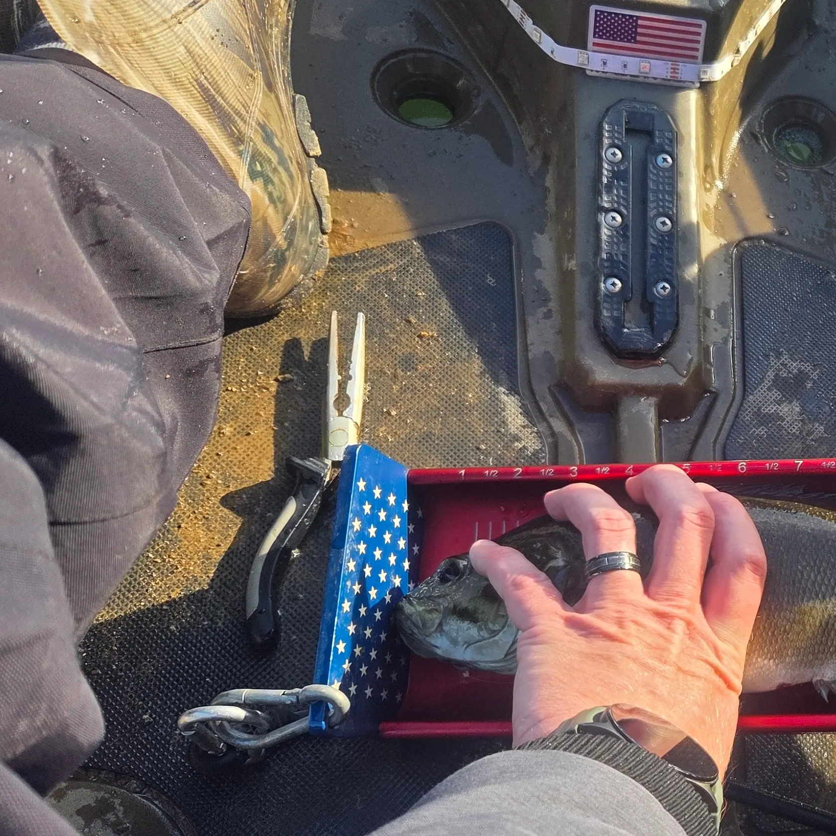 recently logged catches