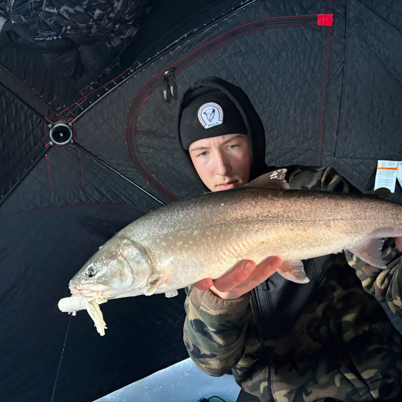 The most recent Bull trout catches on Fishbrain