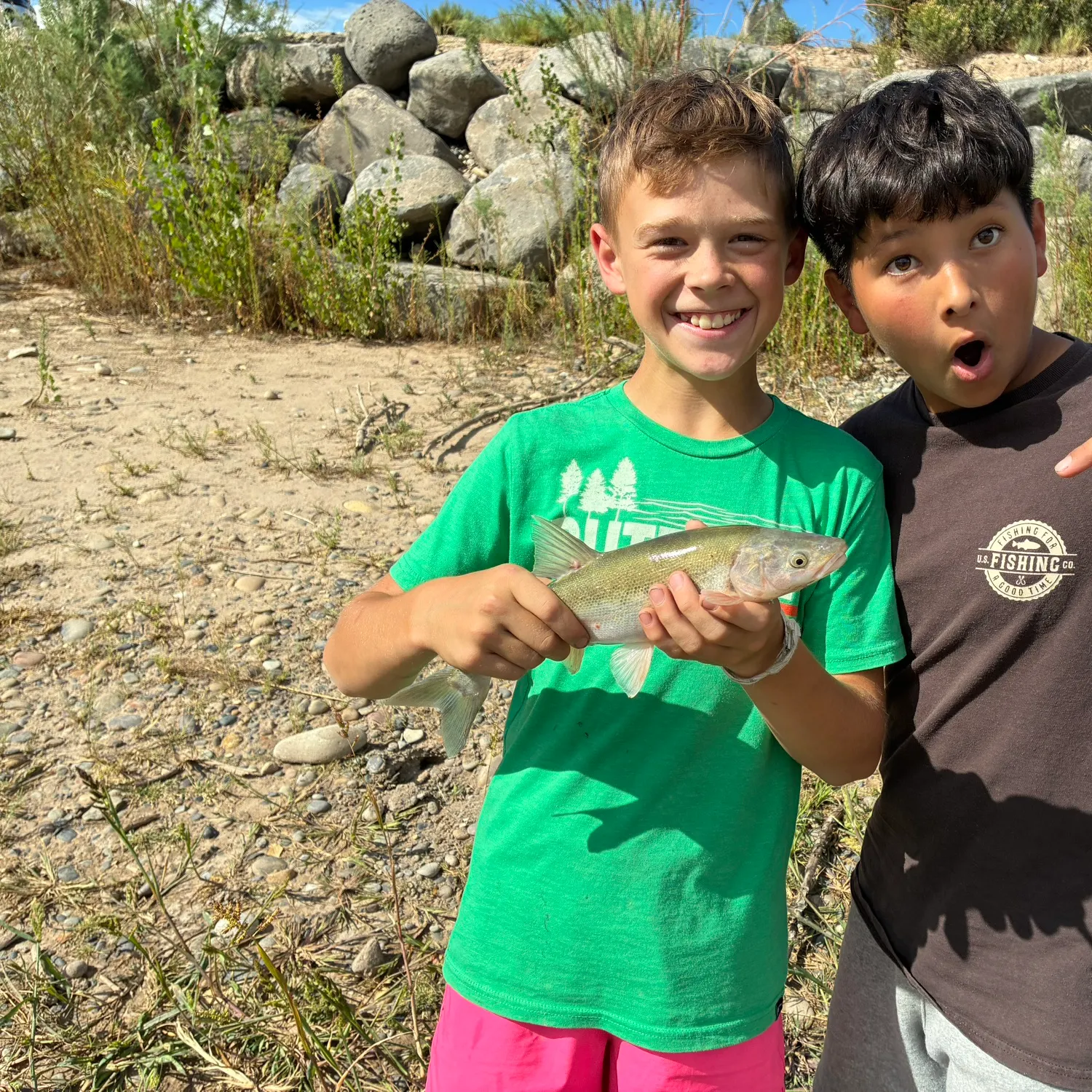 The most recent Bonytail chub catches on Fishbrain