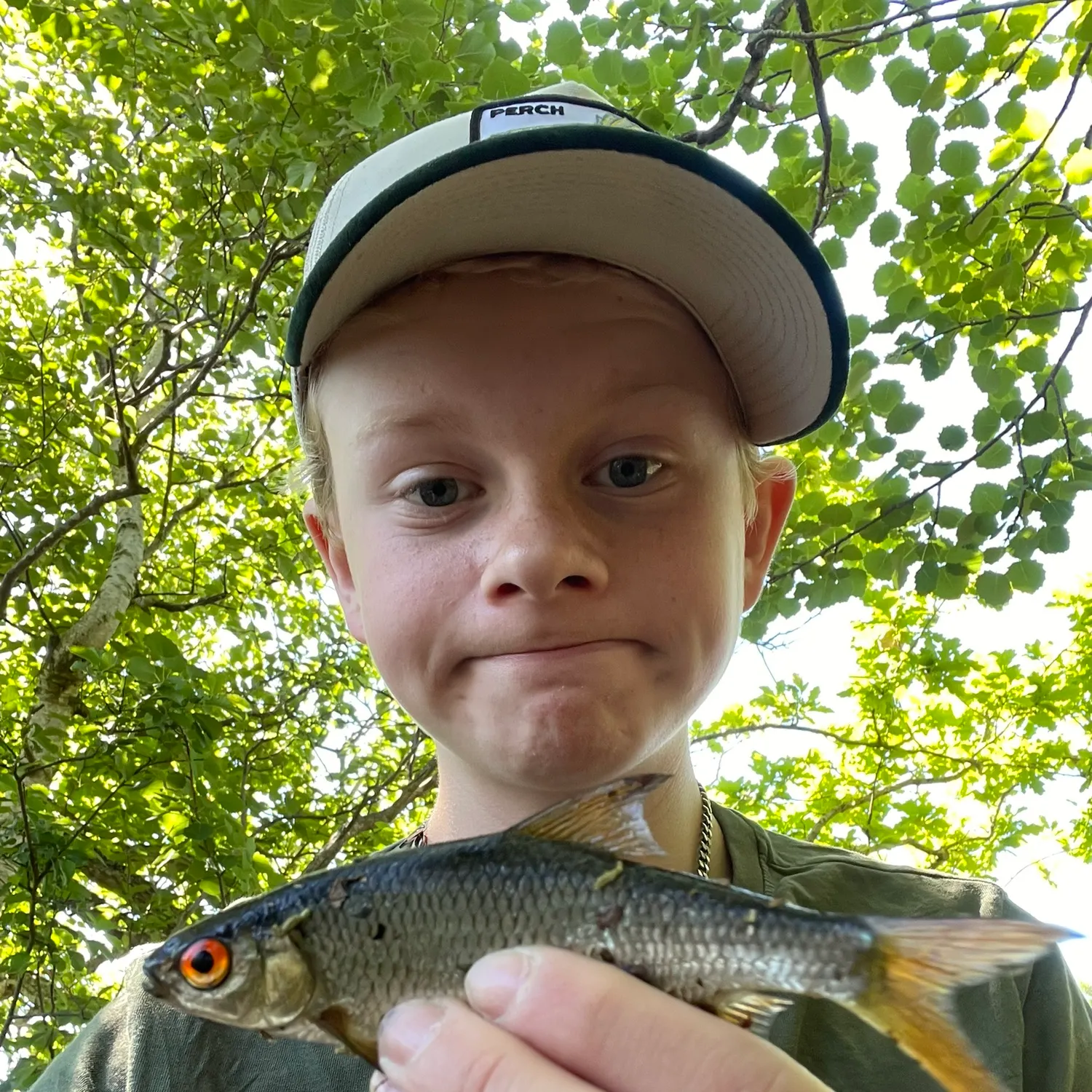 The most recent Common roach catches on Fishbrain