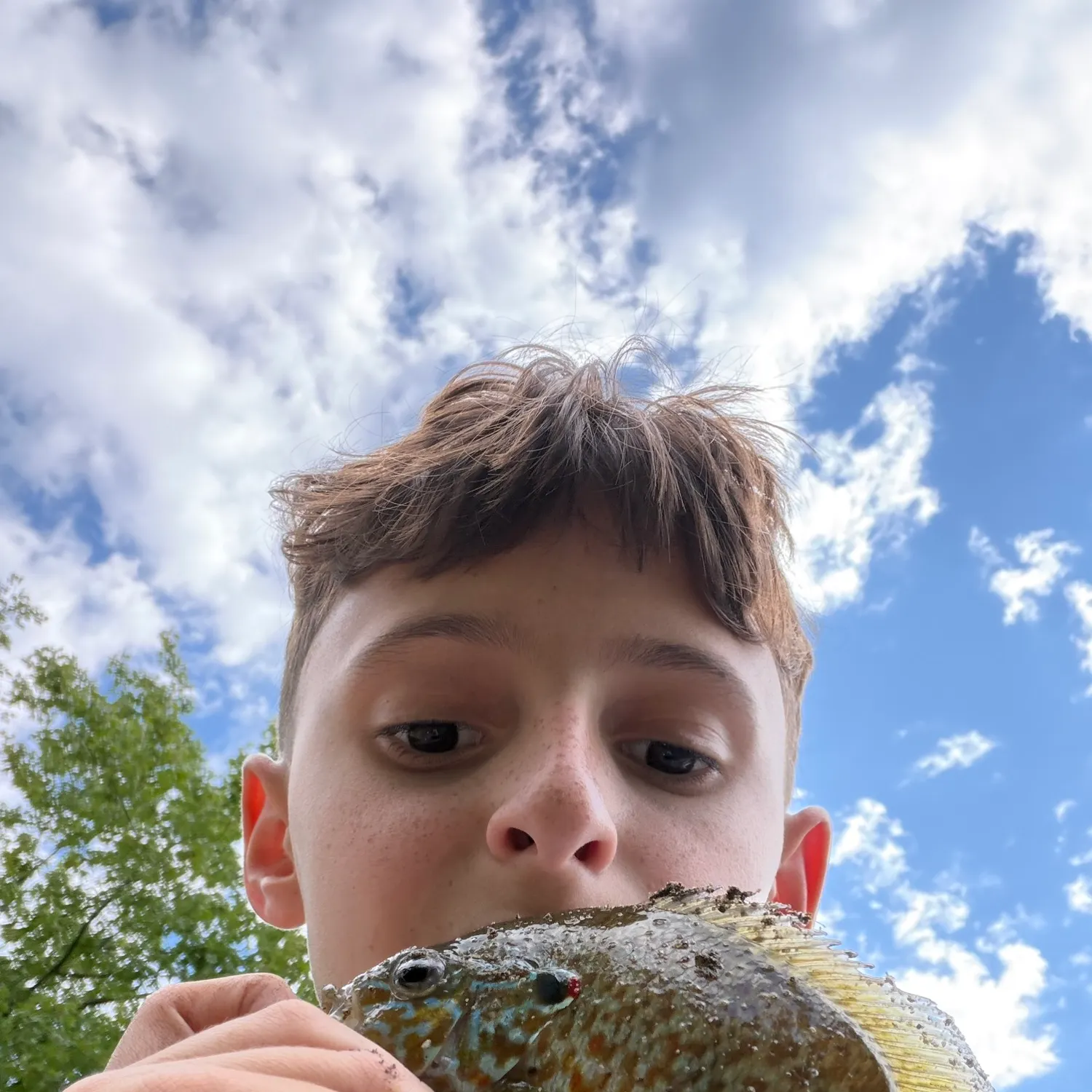 Pumpkinseed caught on Fishbrain