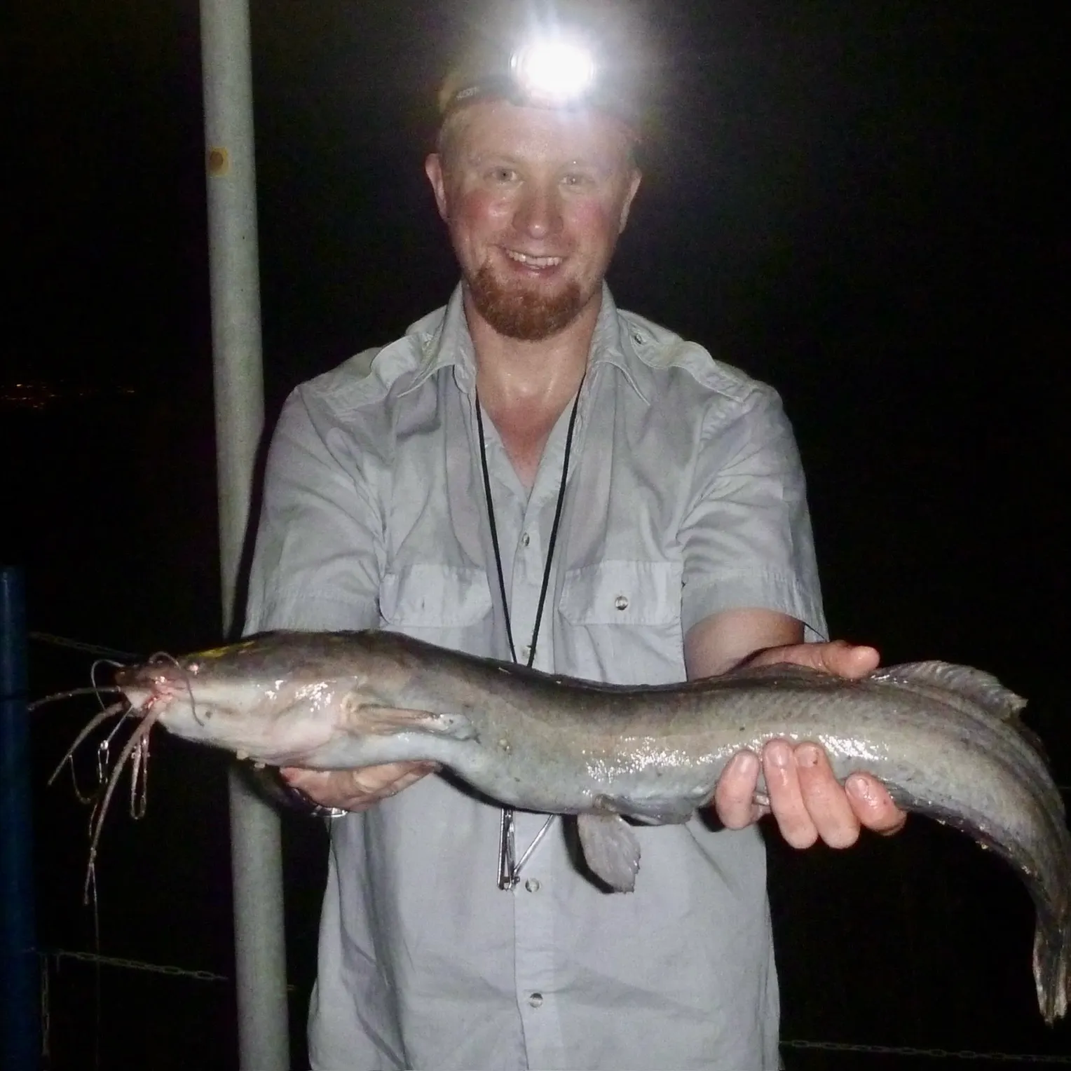 The most recent North African catfish catches on Fishbrain
