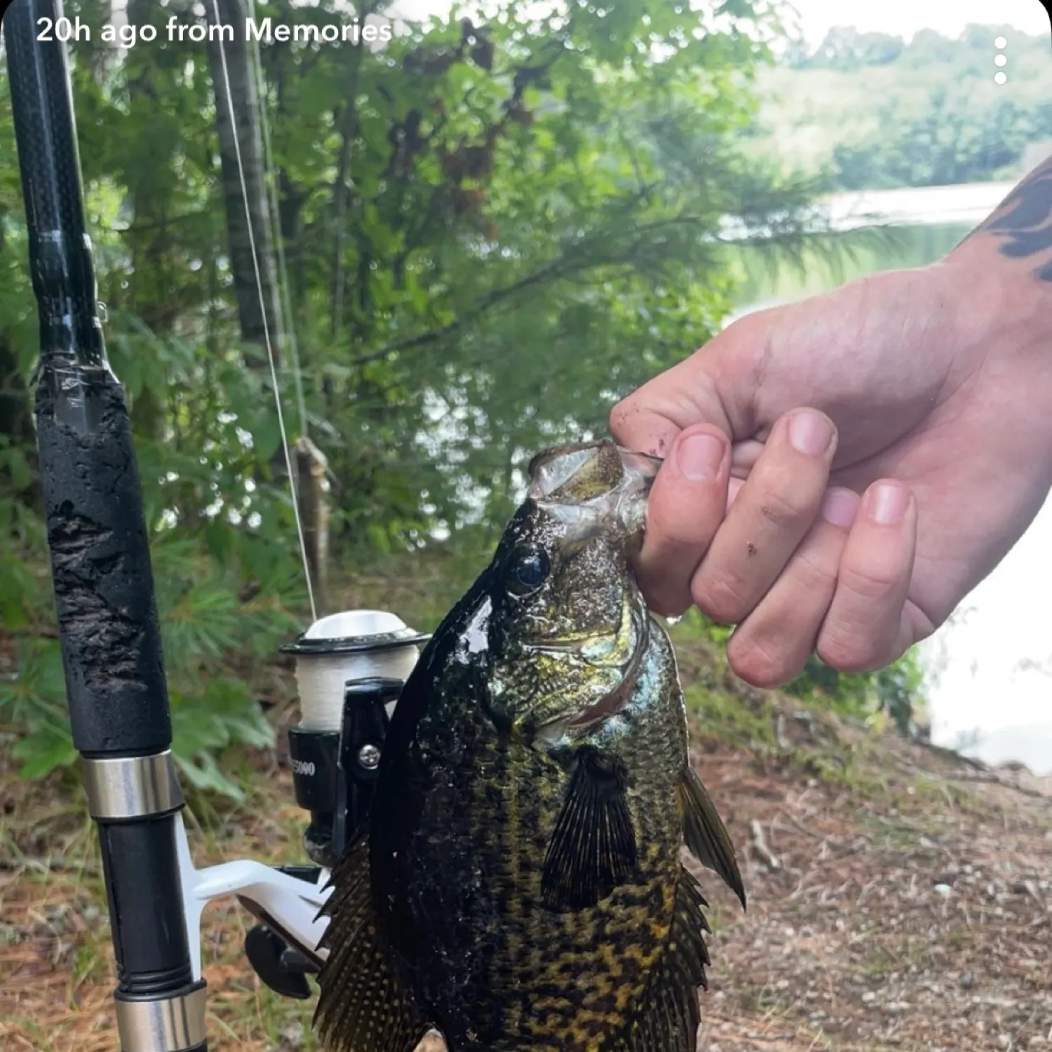 angler catch